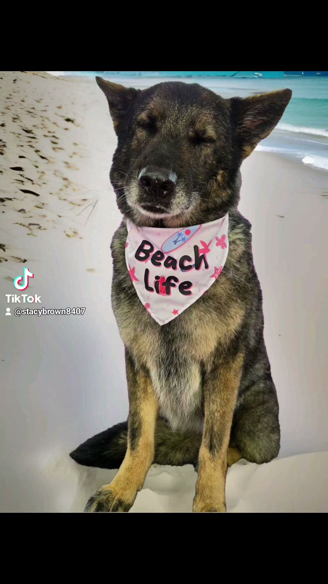 Barking Lot Cleveland