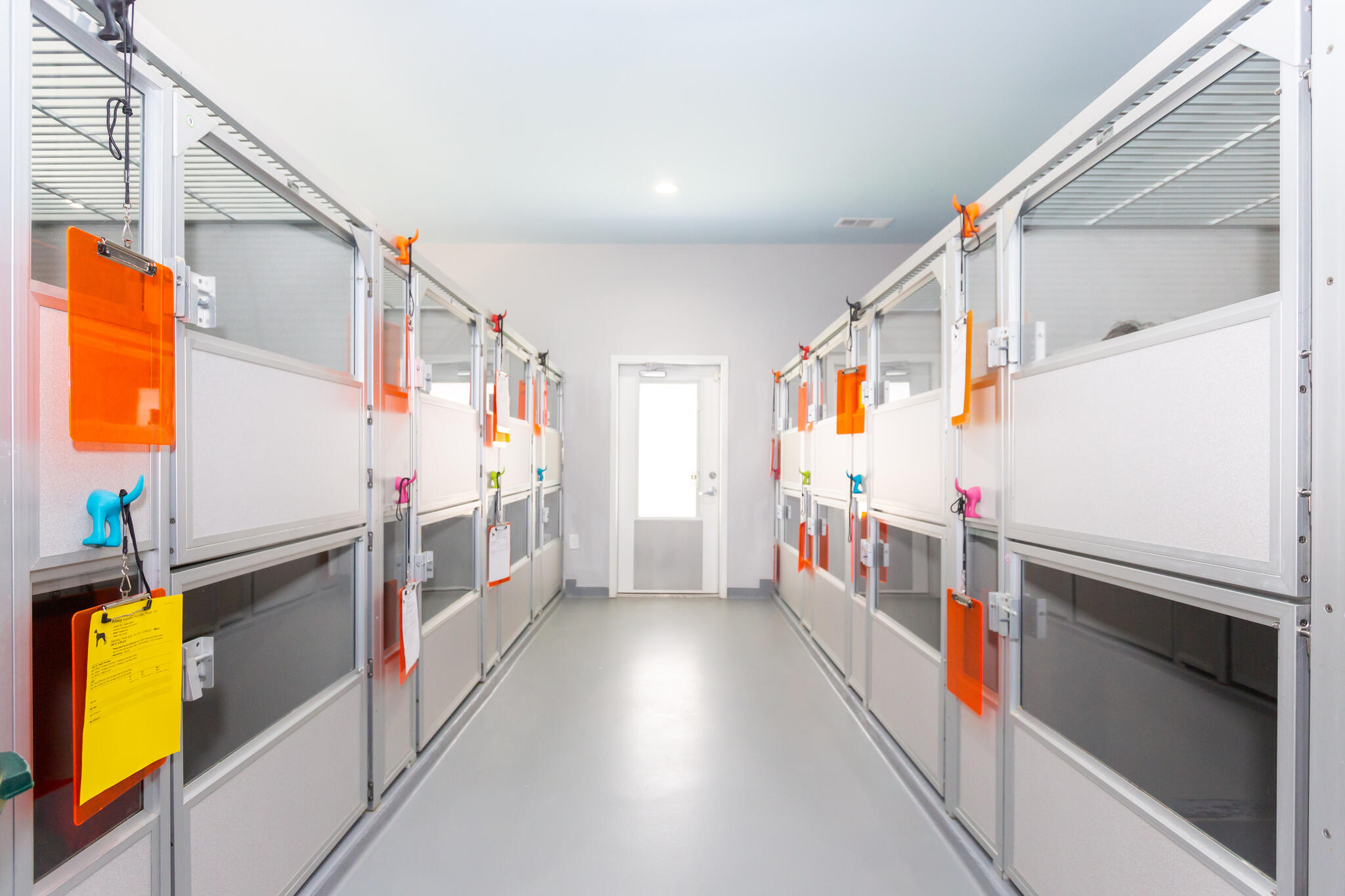 The Regal Beagle Dallas