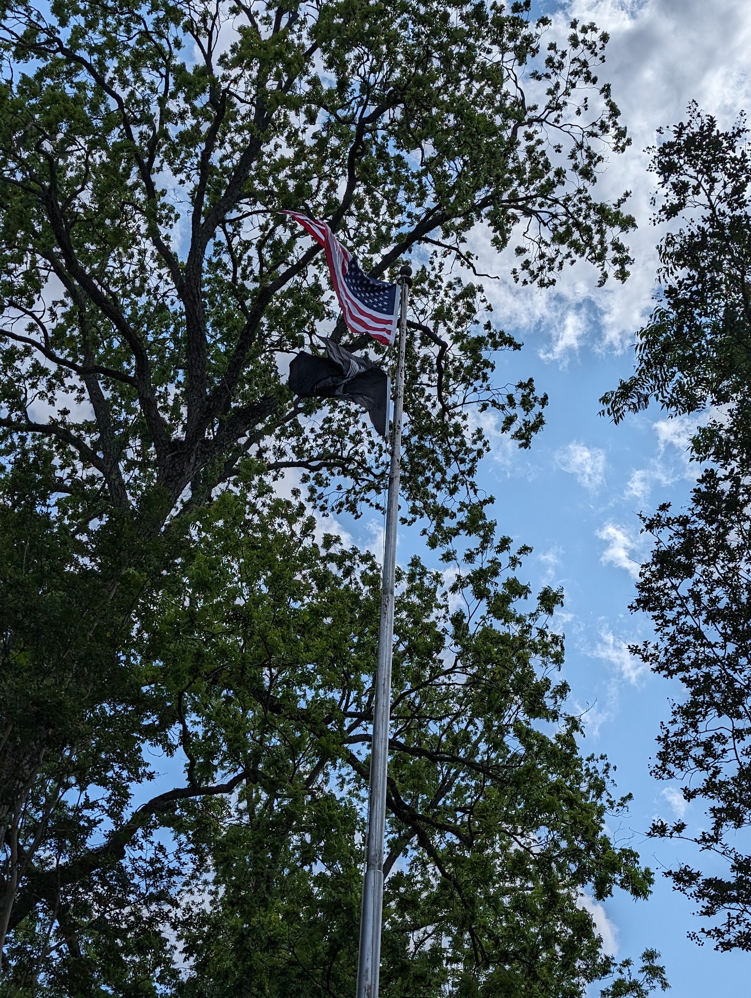 Foy Insured Tree Services