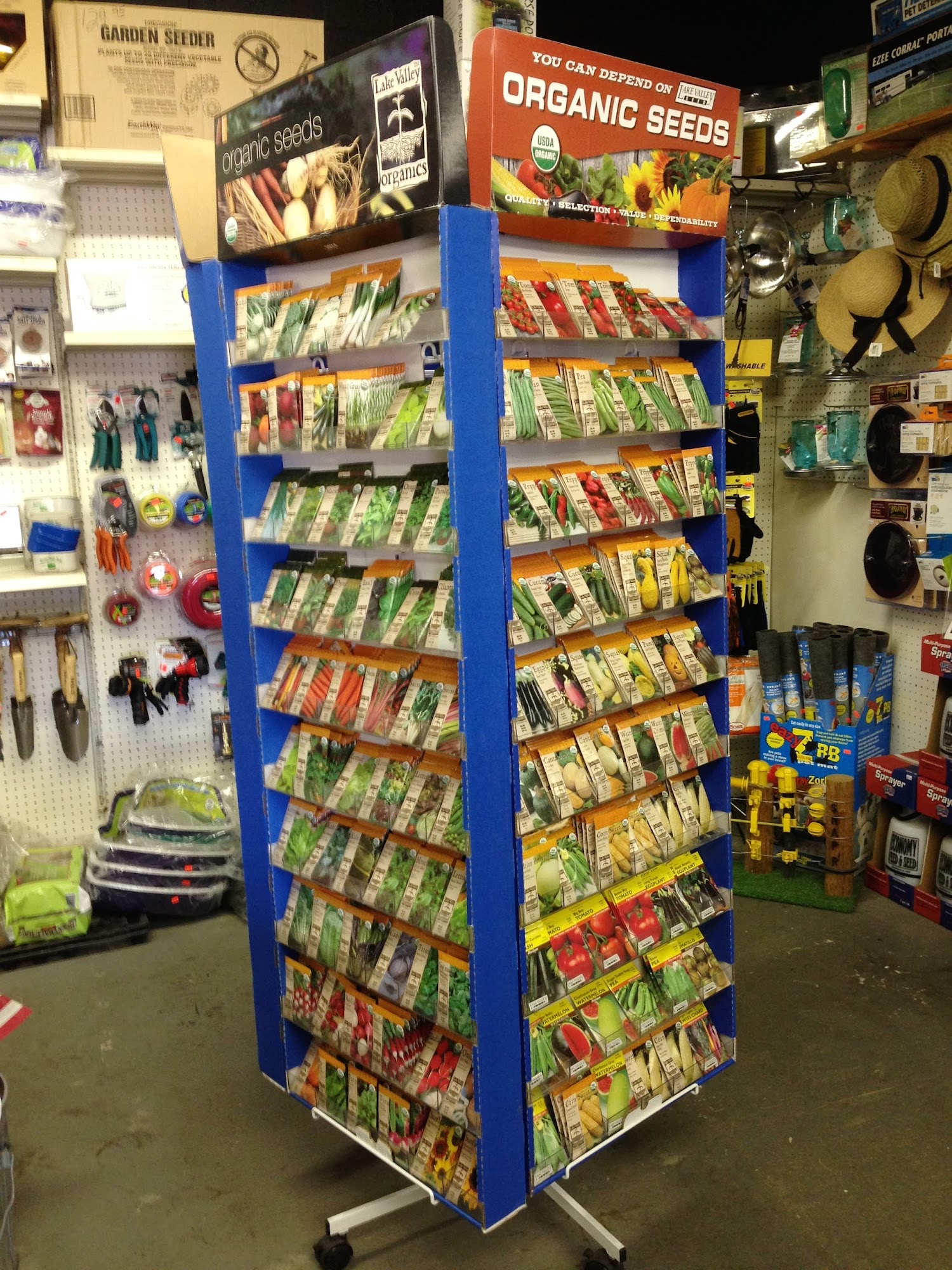 Economy Feed & Seed Store Savannah