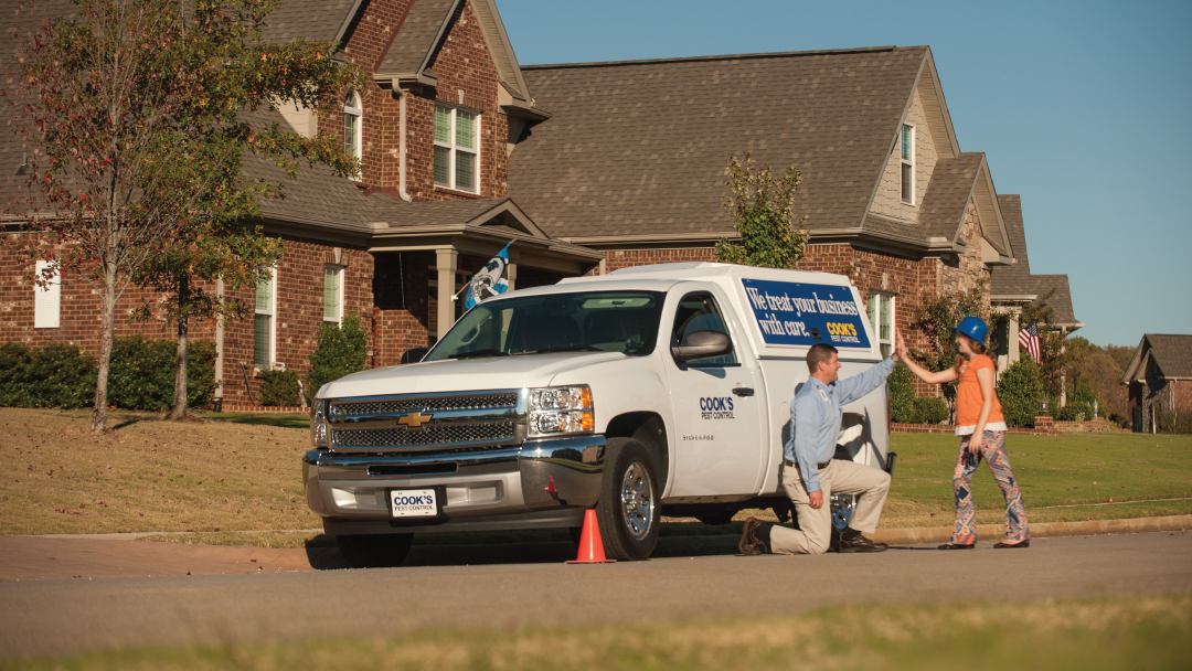 Cook's Pest Control 3500 GA-34 Ste 9, Sharpsburg Georgia 30277