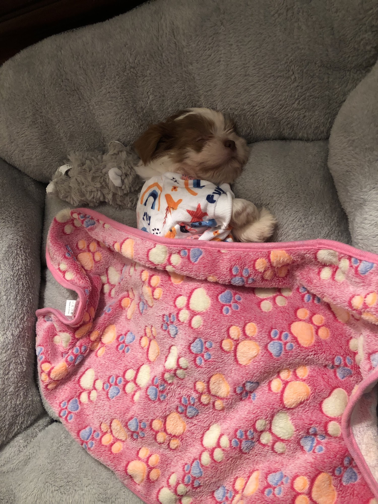 Simply Southern Kennel in Statesboro Statesboro