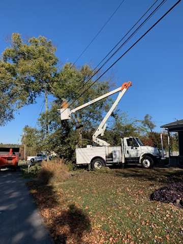 Lowery's Tree Service 1865 Catoosa Pkwy, Tunnel Hill Georgia 30755