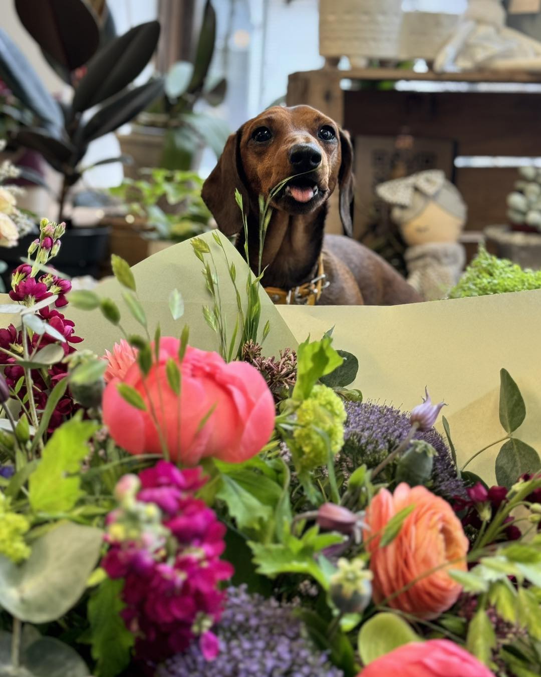 Bloom Florist Stubbington