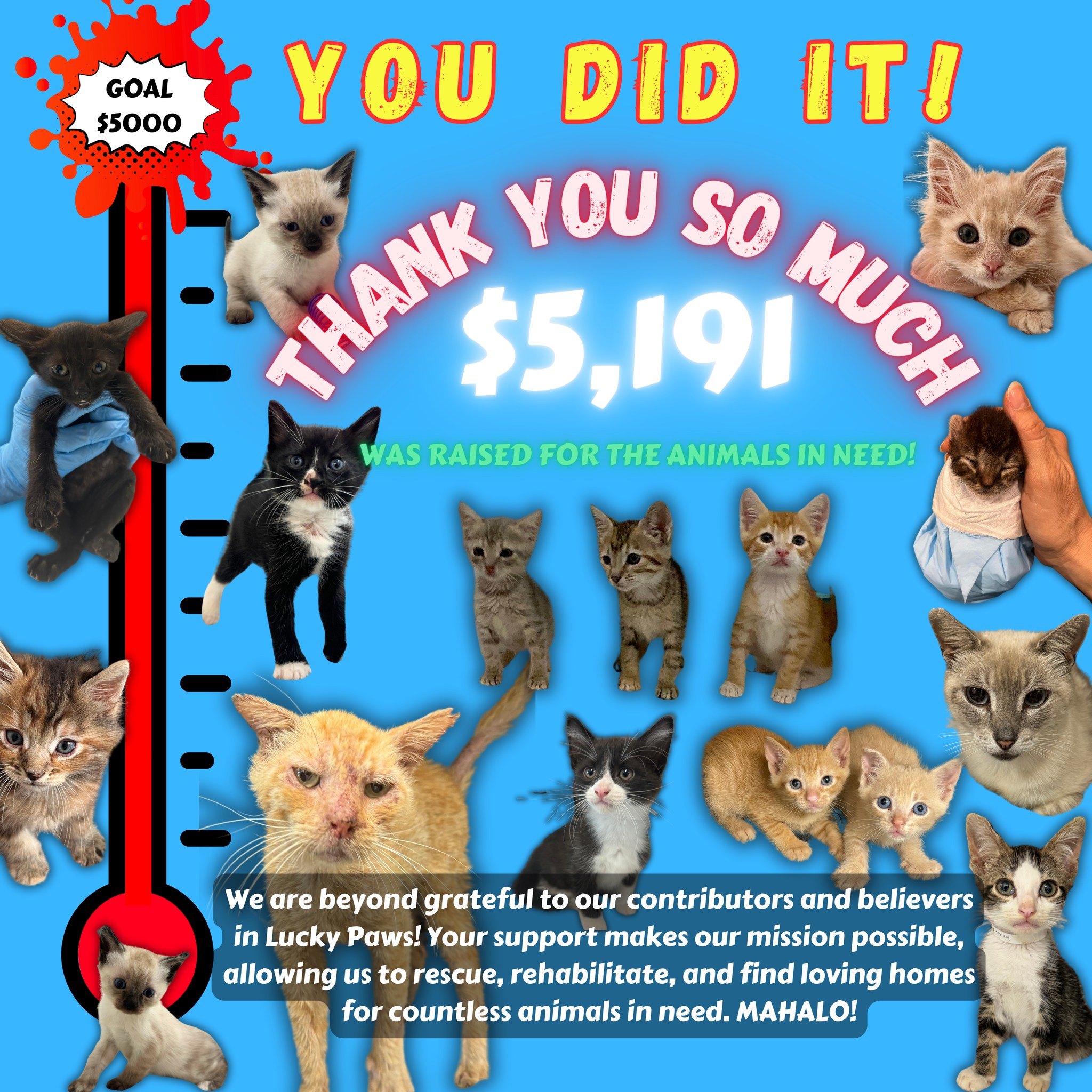 Lucky Paws Animal Foundation Honolulu