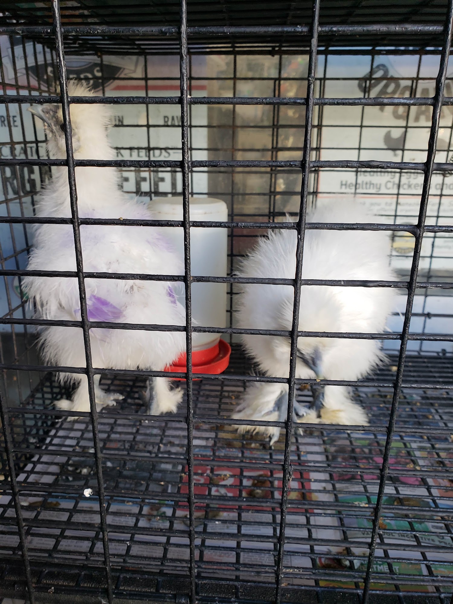 Kaneohe Farm Supplies Kaneohe