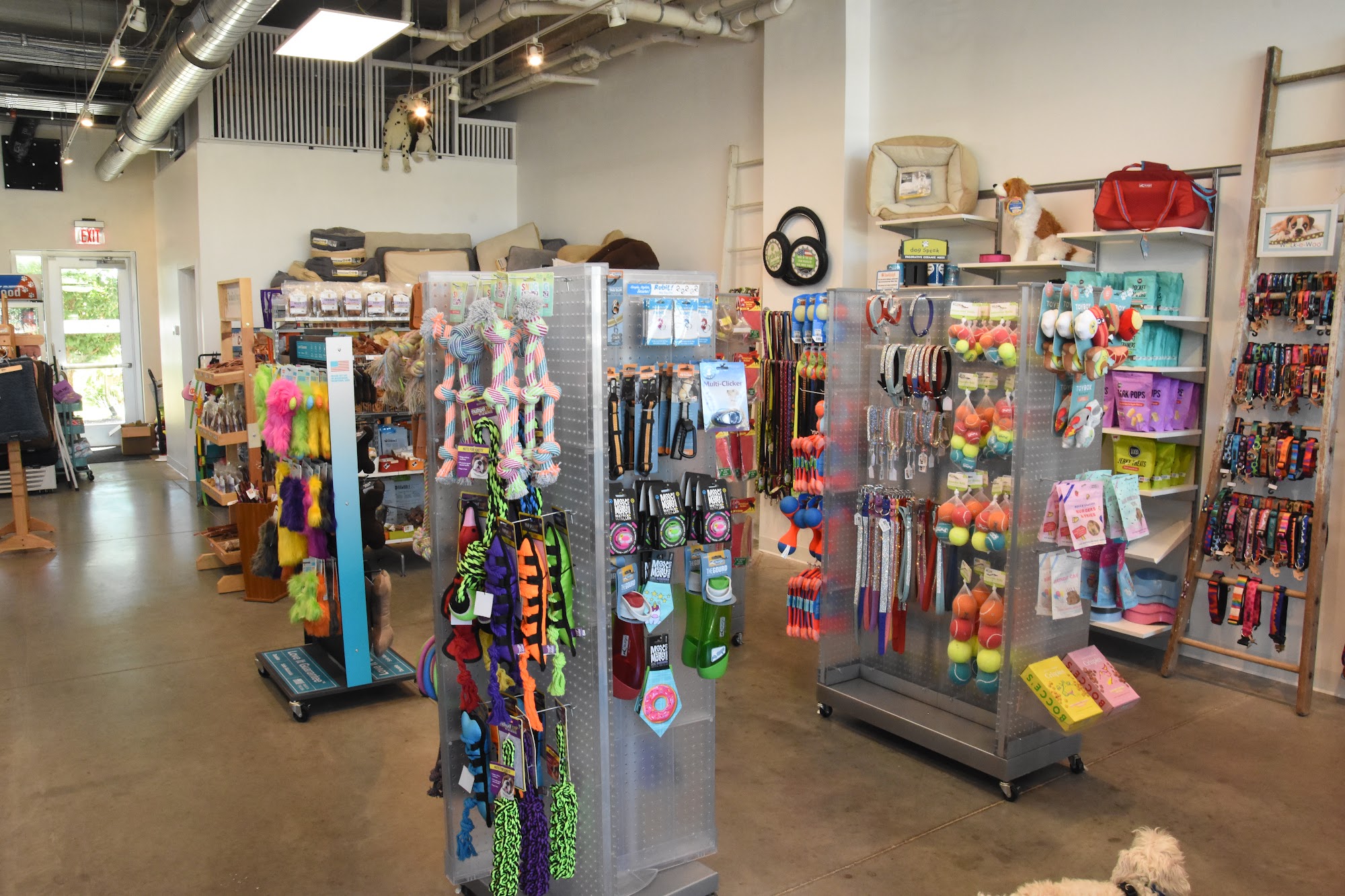 Jett and Monkey's Des Moines