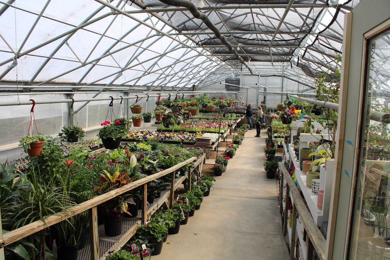 The Flower Court Garden Center & Florist Newton