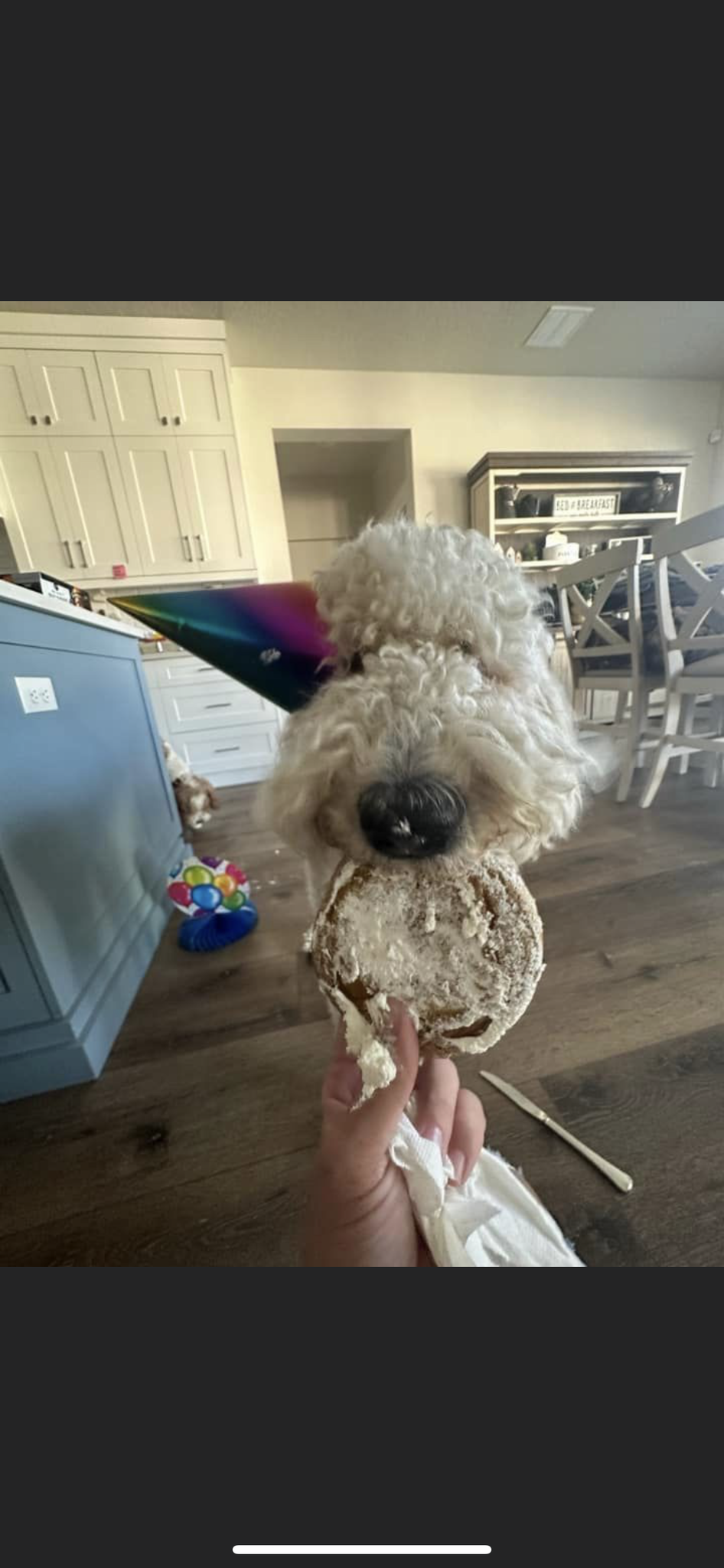 Photo credit: nextdoor