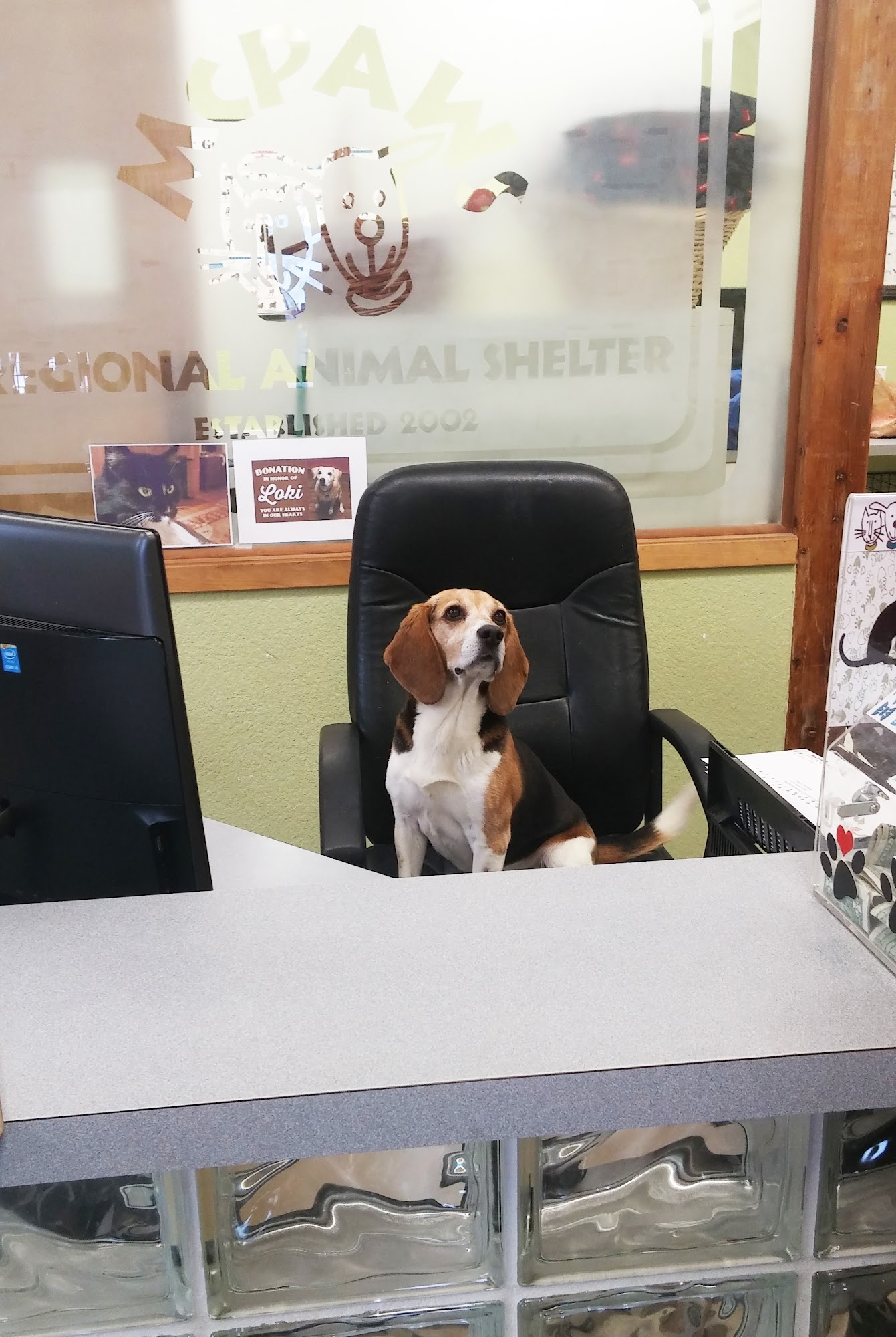 MCPAWS Regional Animal Shelter McCall