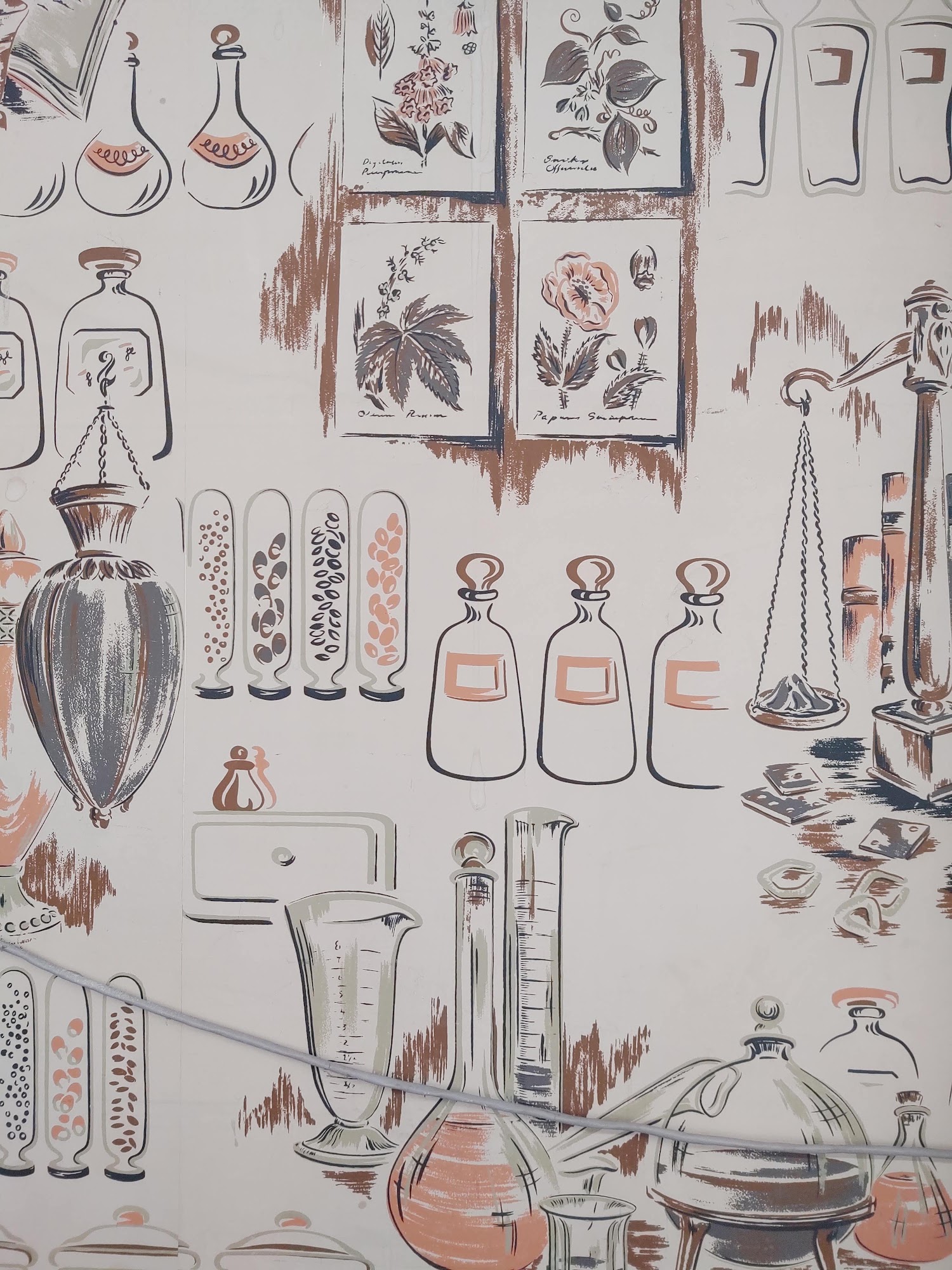 Ricks Healthy Pet Foods Barrington