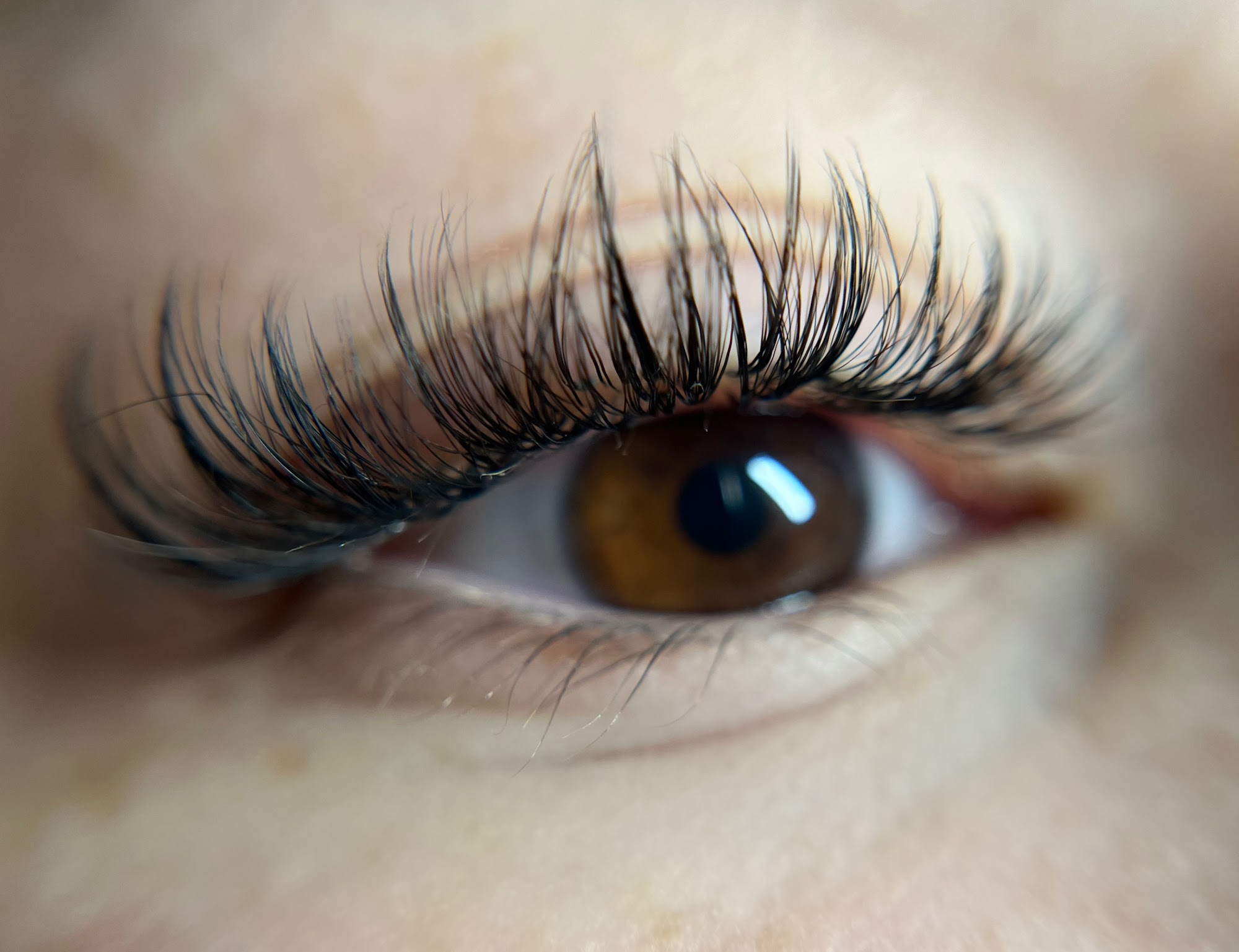 Berwyn Beauty Bar Lashes and Nails