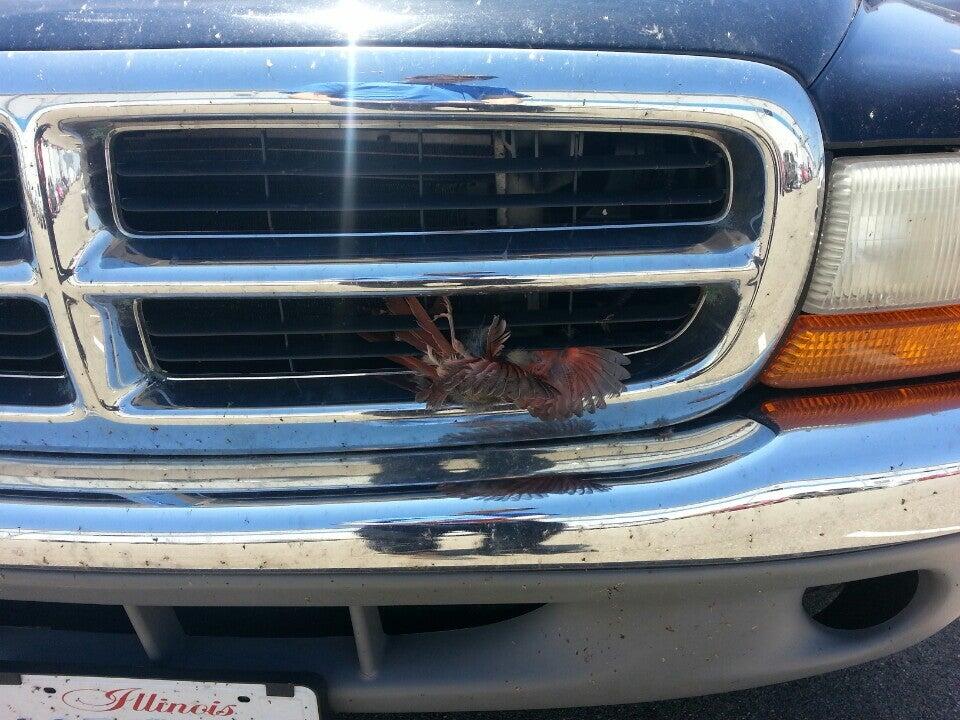 Photo credit: nextdoor