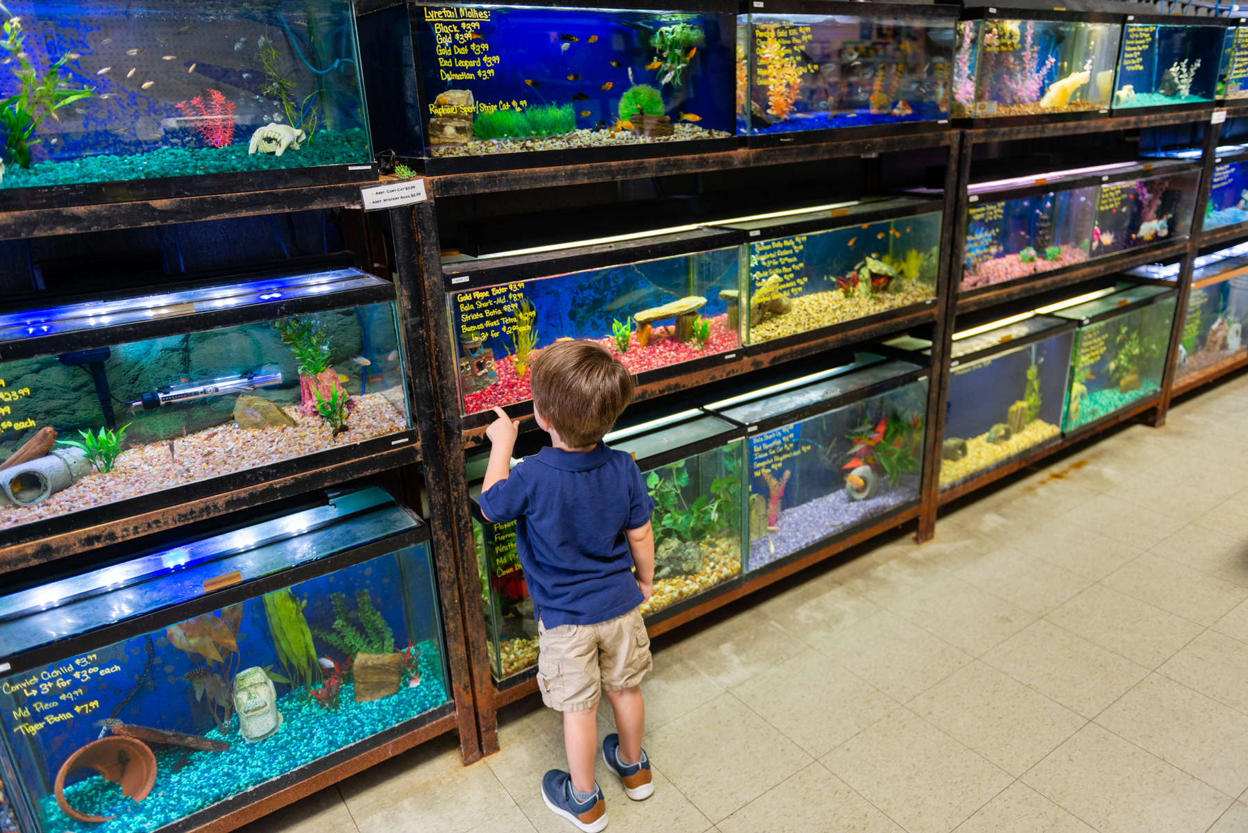 Noah's Ark Pet Shoppe Effingham