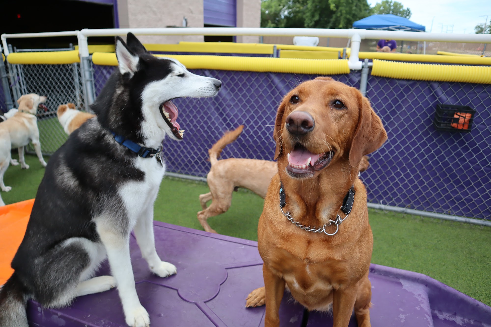 Central Bark Grayslake Grayslake