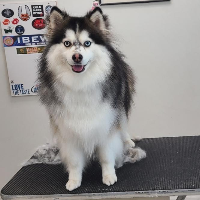 Tops Grooming Grayslake