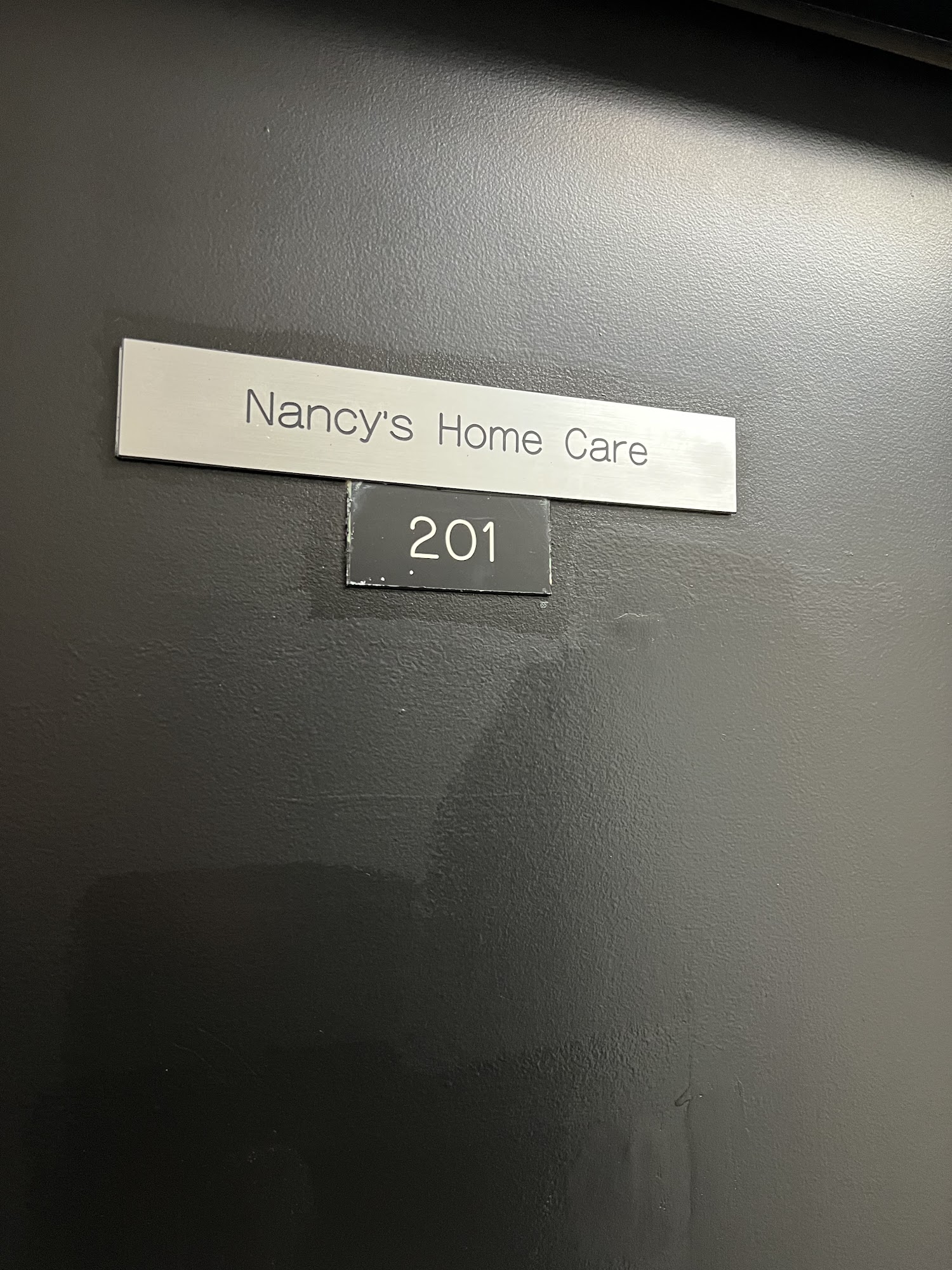 Nancy's Home Care Hickory Hills 7667 W 95th St, Hickory Hills Illinois 60457