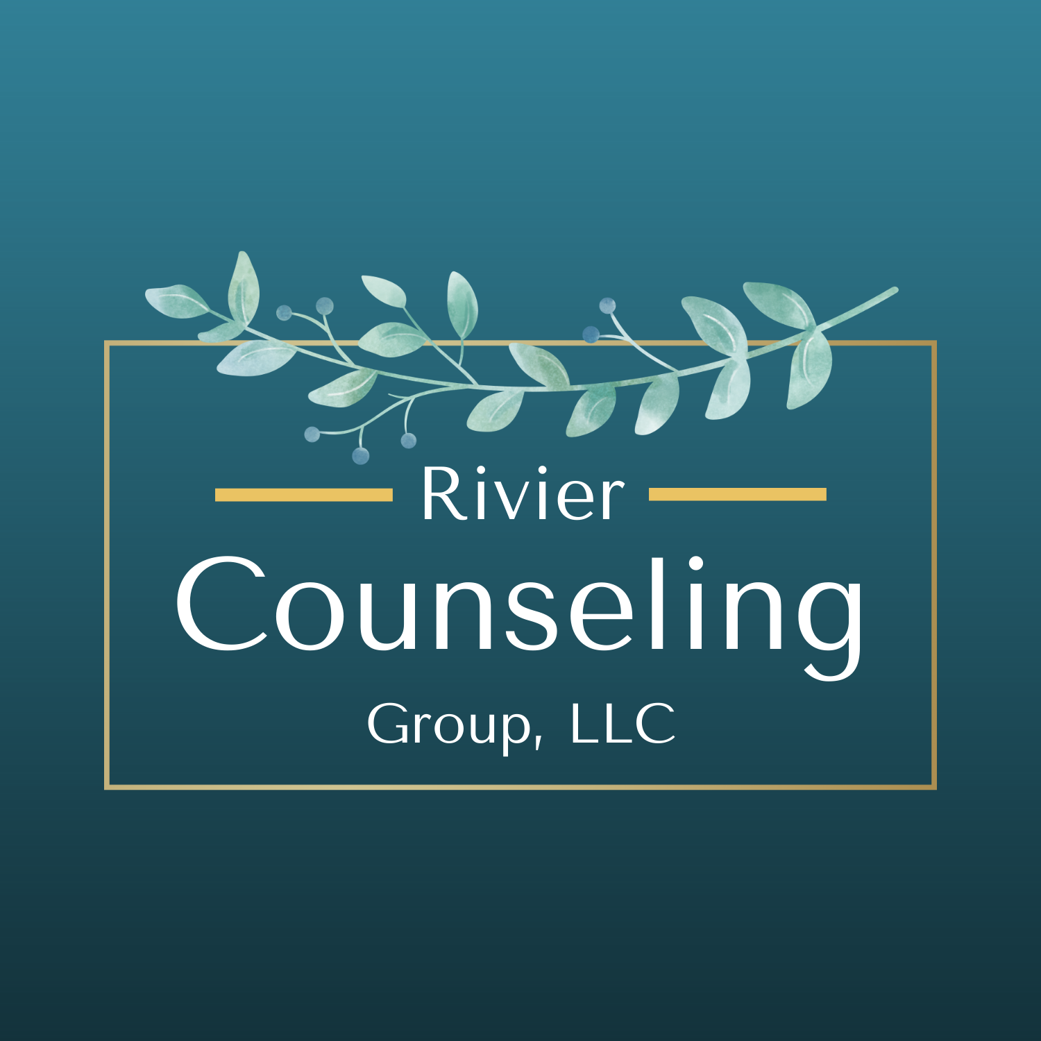 Rivier Counseling Group 649 W Mondamin St, Minooka Illinois 60447