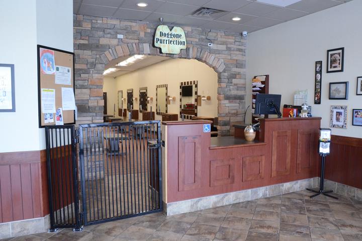 Doggone Purr-Fection Orland Park