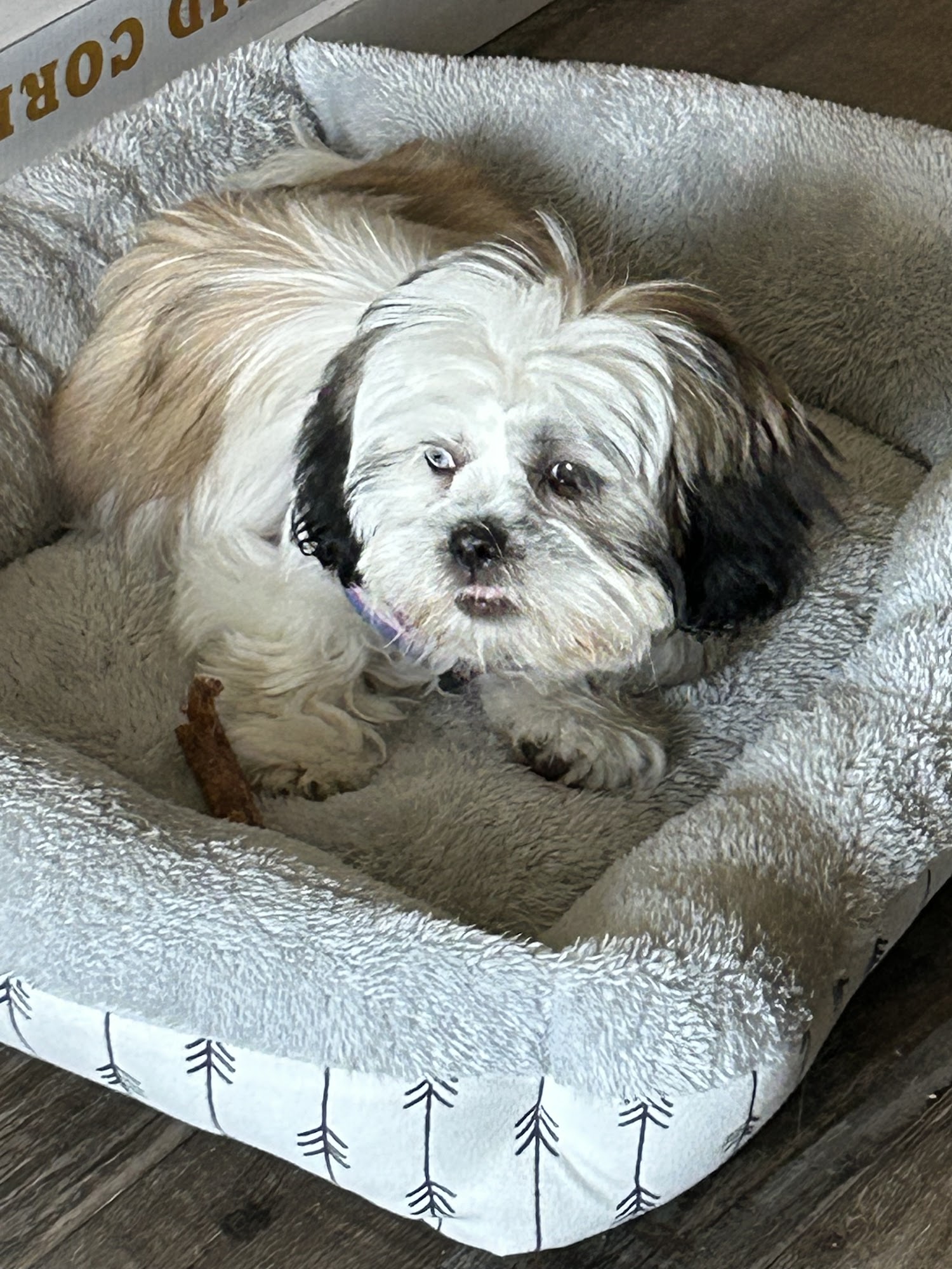 VCA Worth Animal Hospital: Mc Namee Crystal DVM Palos Hills