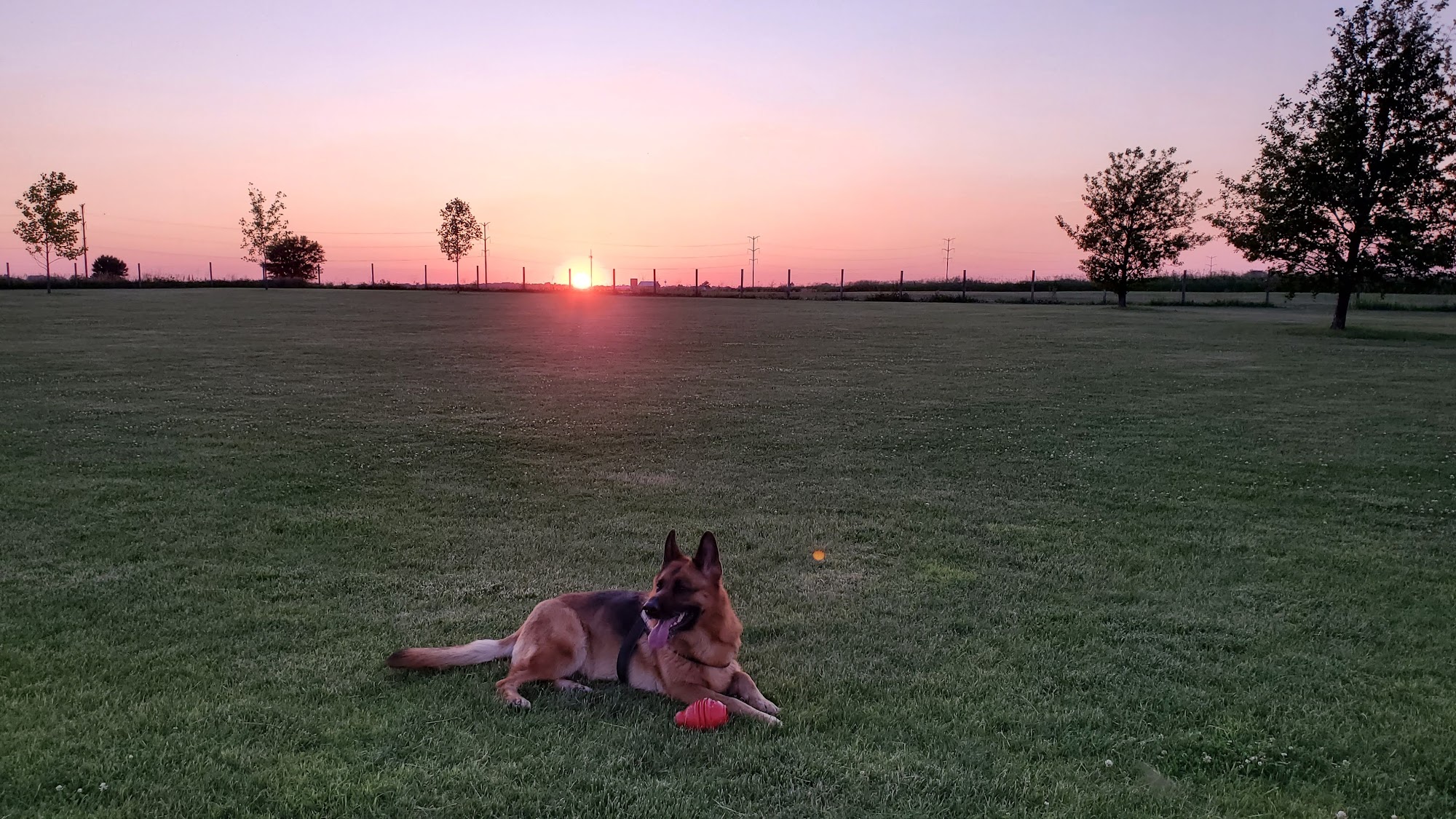 Stuart Sports Complex Dog Park Sugar Grove