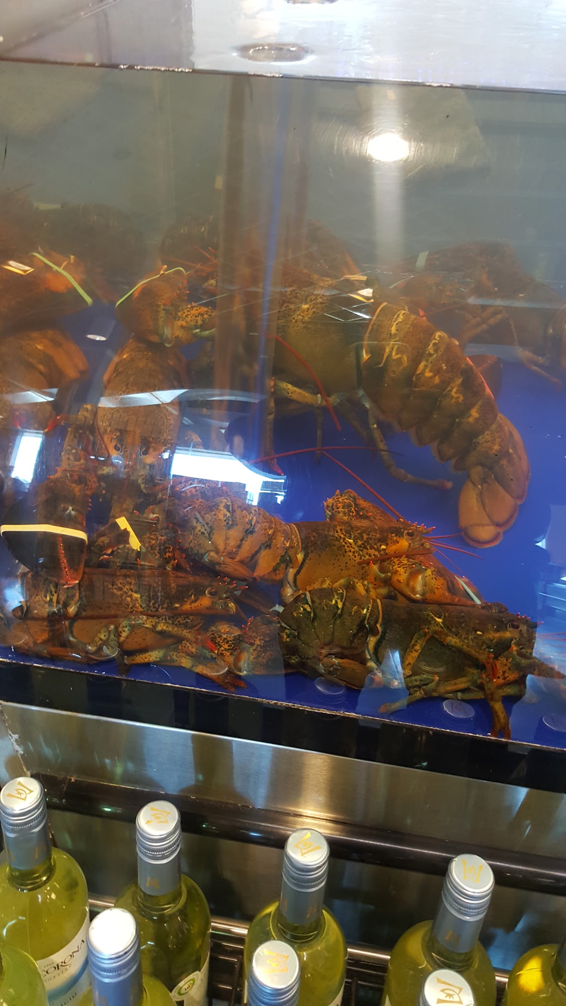 Supreme Lobster & Seafood Inc