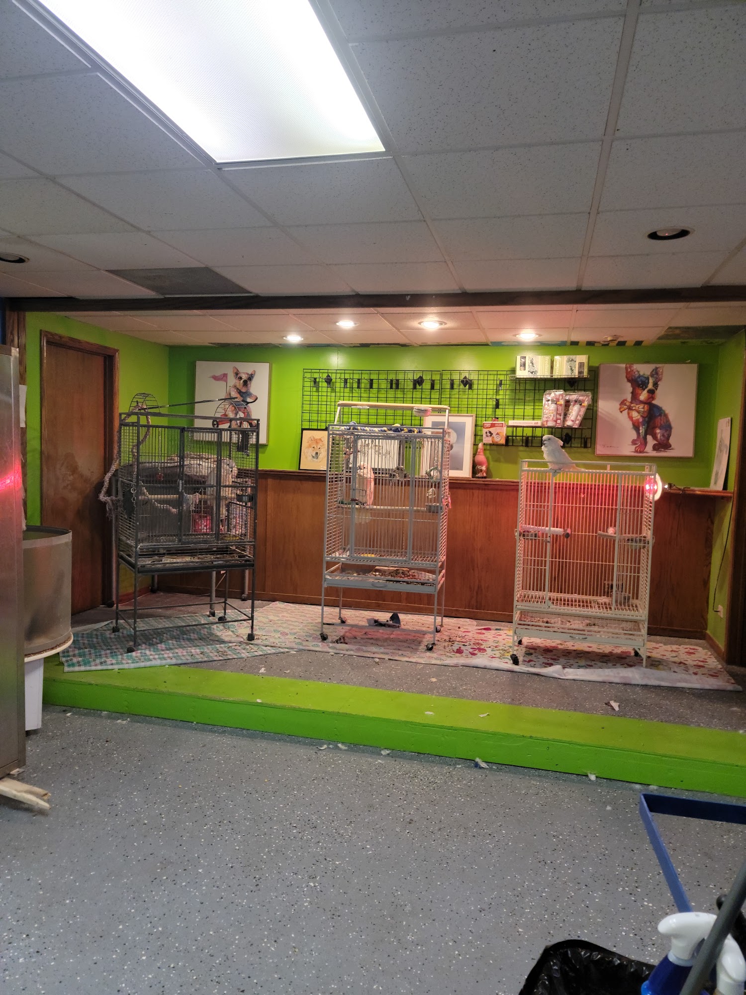 Bark N Call Pet Shop & Grooming Winthrop Harbor