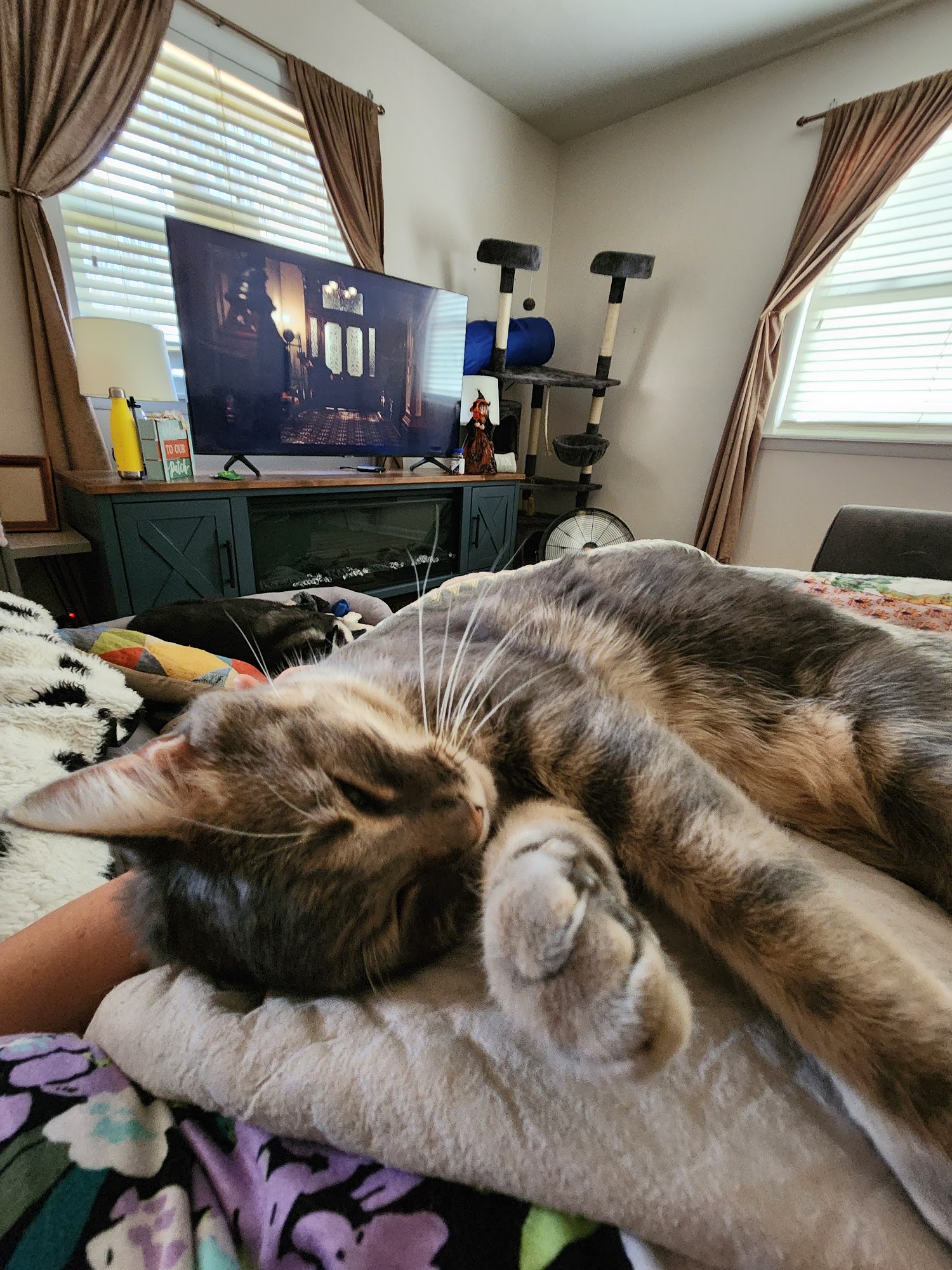 T&T Pet Food & Supply Bloomington