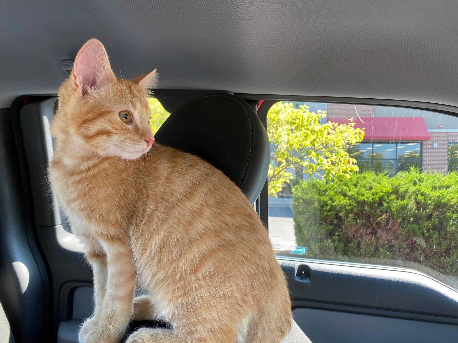 Photo credit: nextdoor