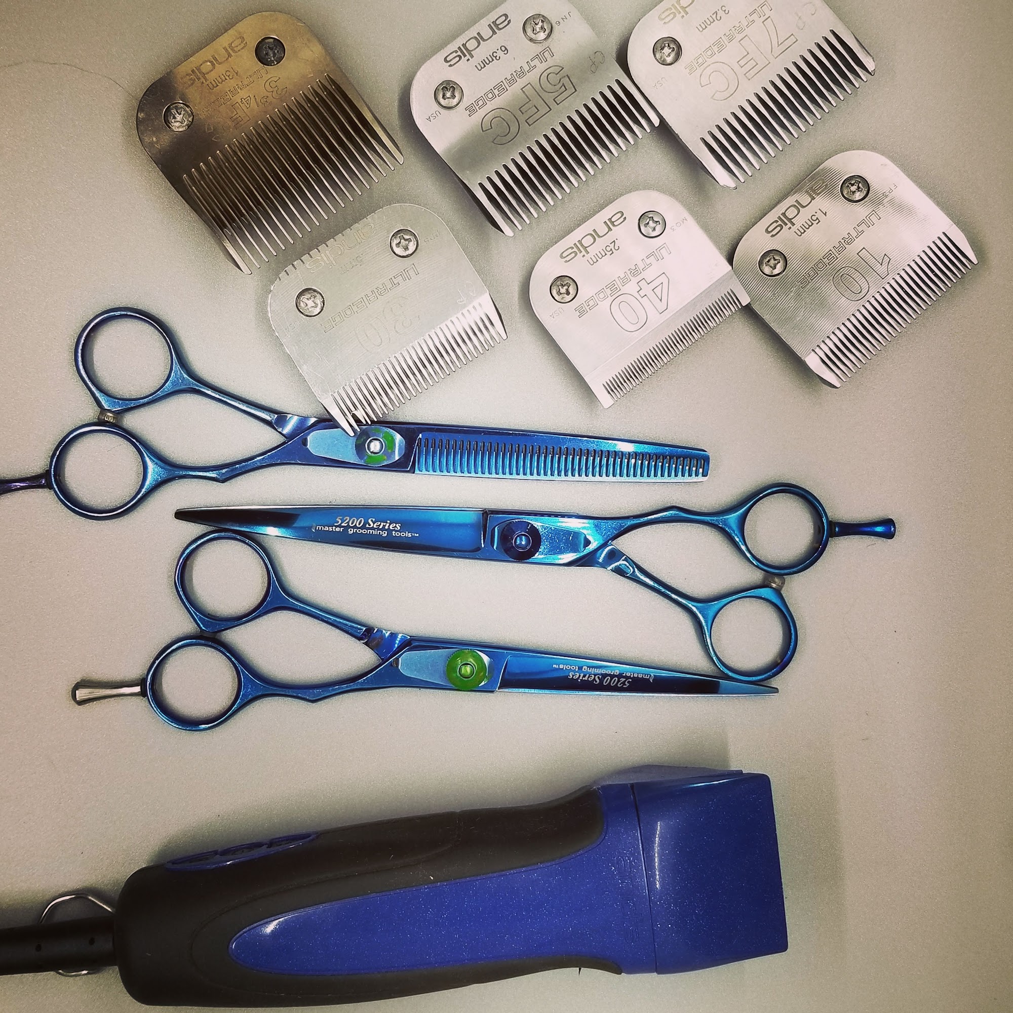 Bee Sharp Evansville