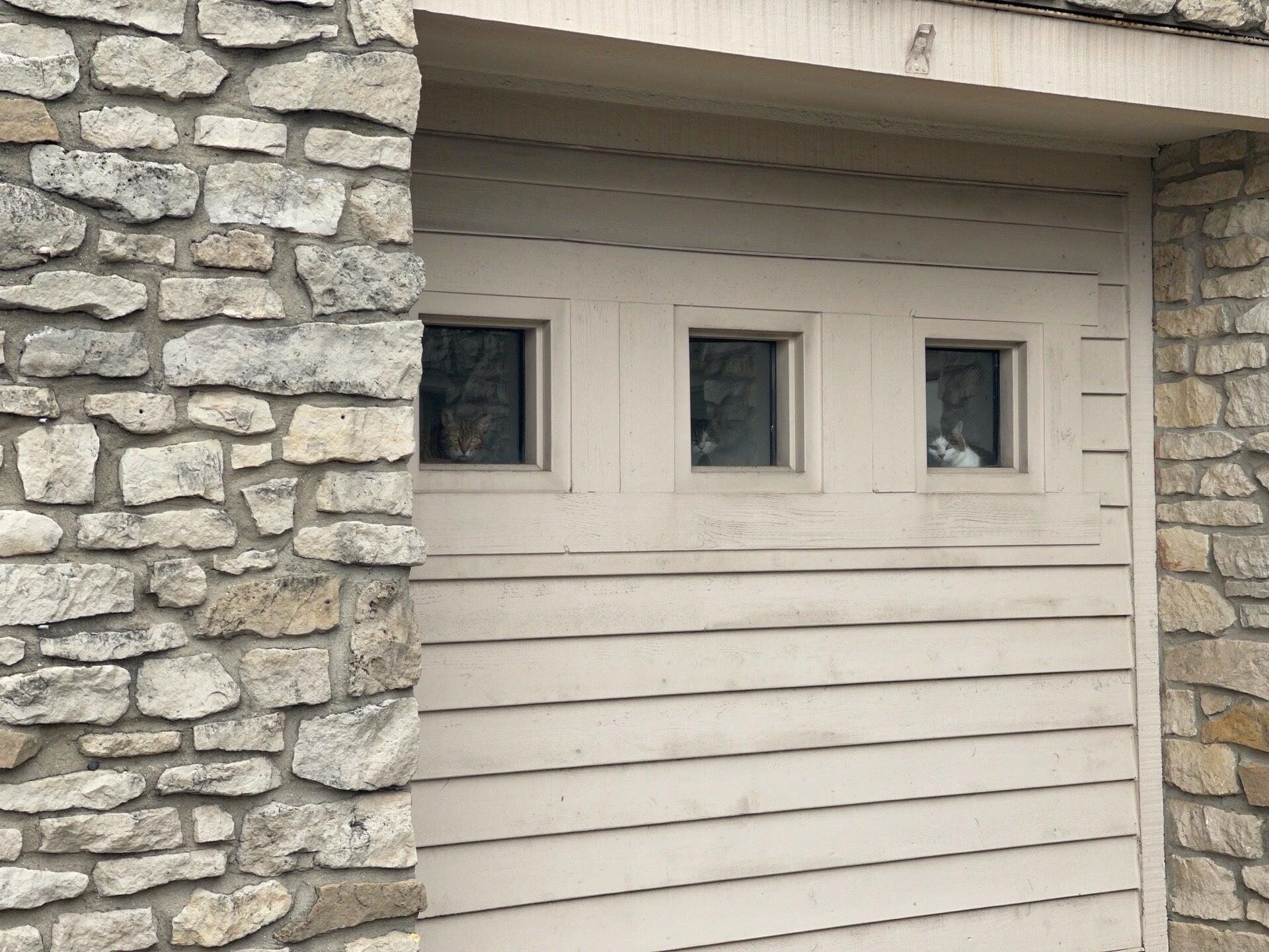 Pet Palace - Indianapolis Indianapolis