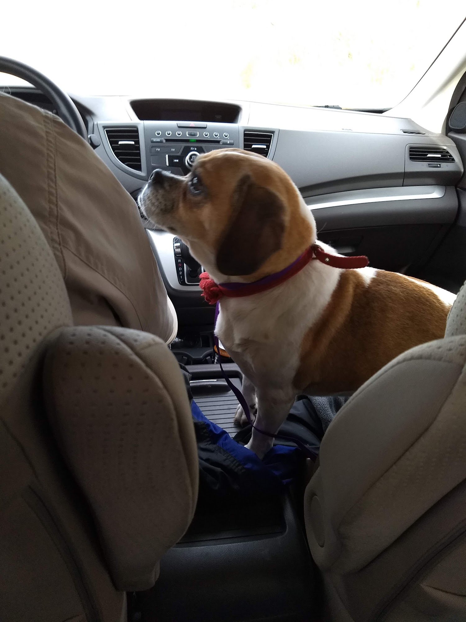 Heaven After Hell Indianapolis