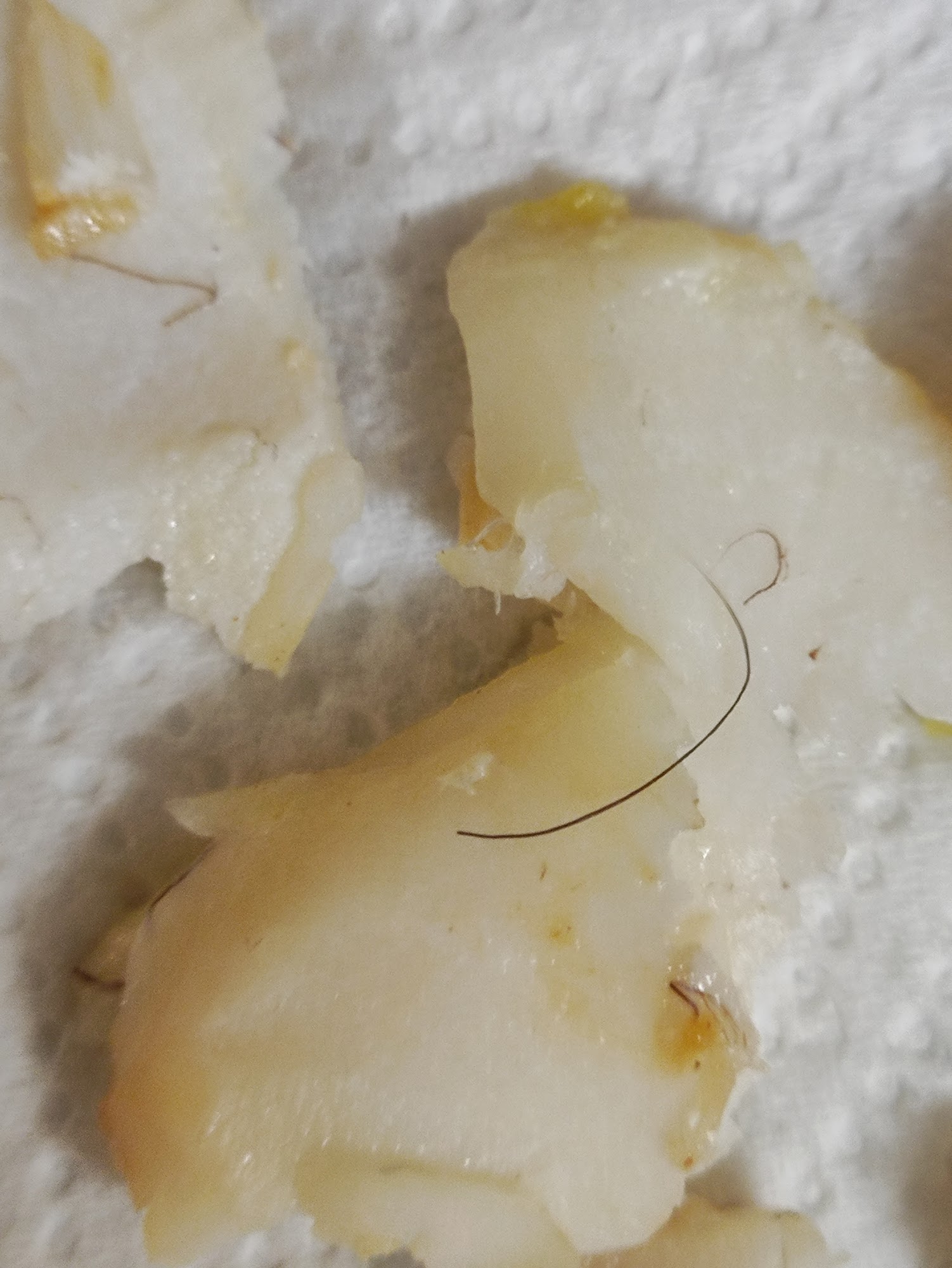 Silvano's Fish Bar 12 Sandwich Rd, Whitfield, Dover