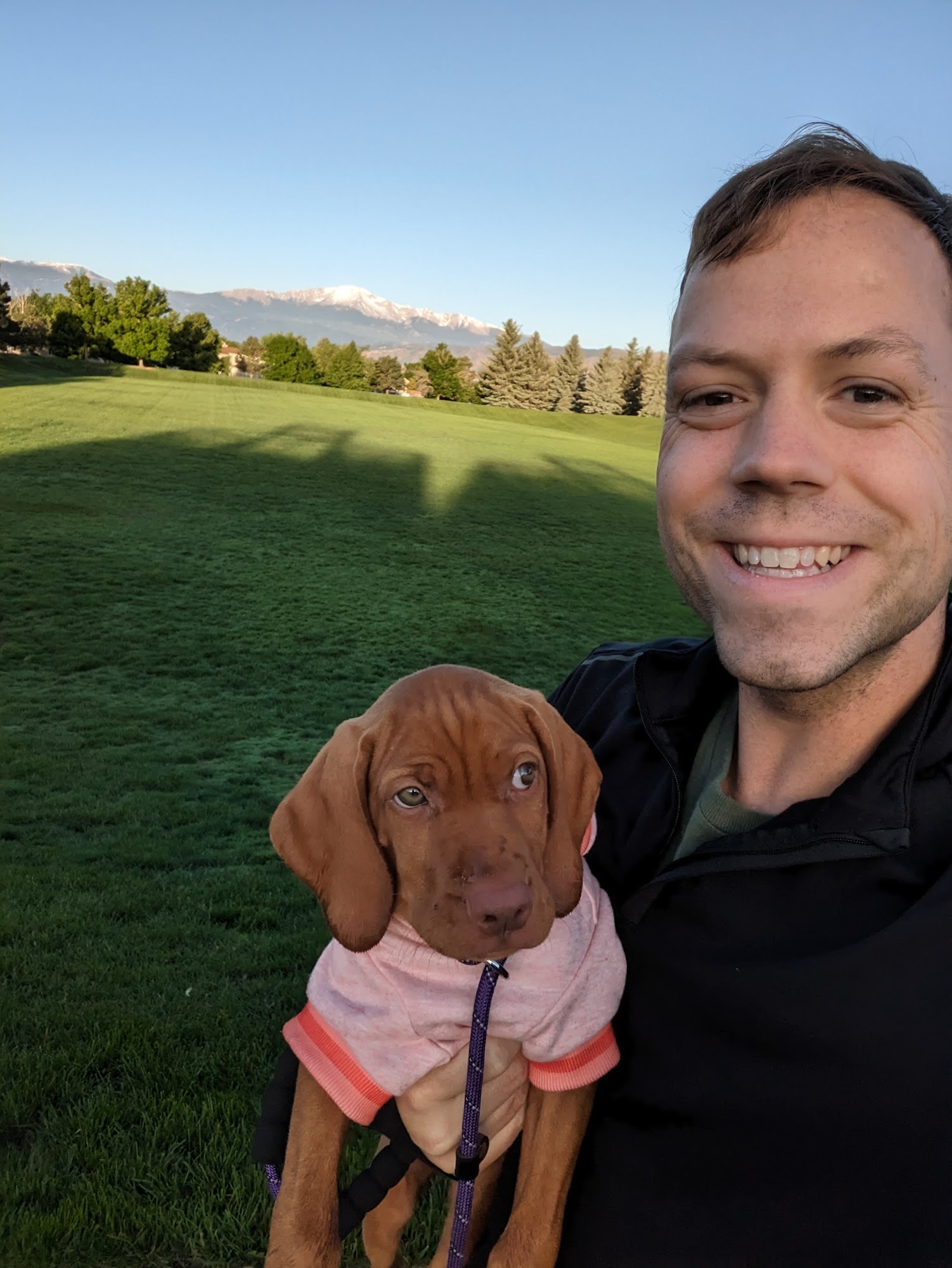 Russ England Vizslas Augusta