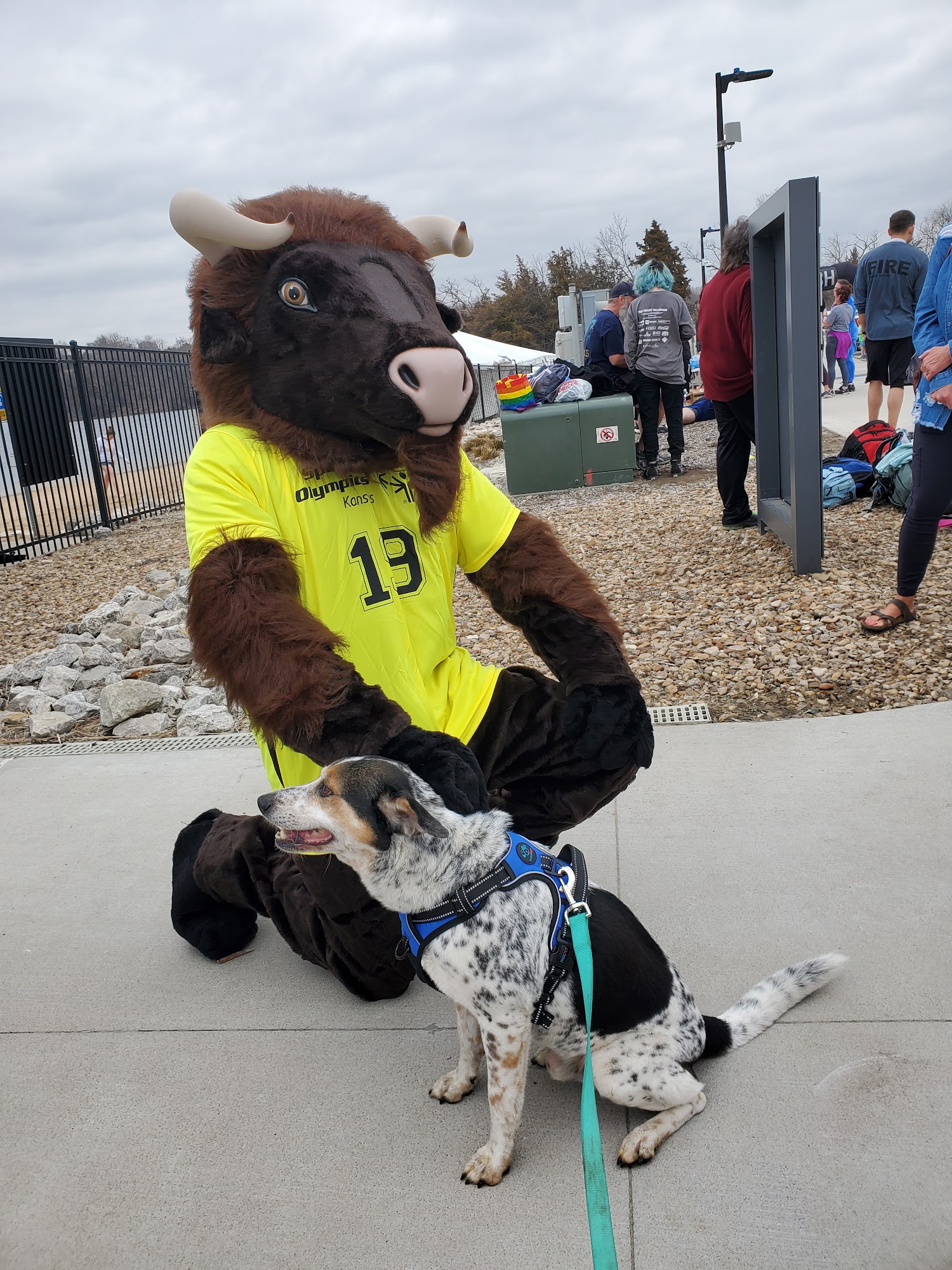Great Plains SPCA Lost Pet and Admission Center Merriam