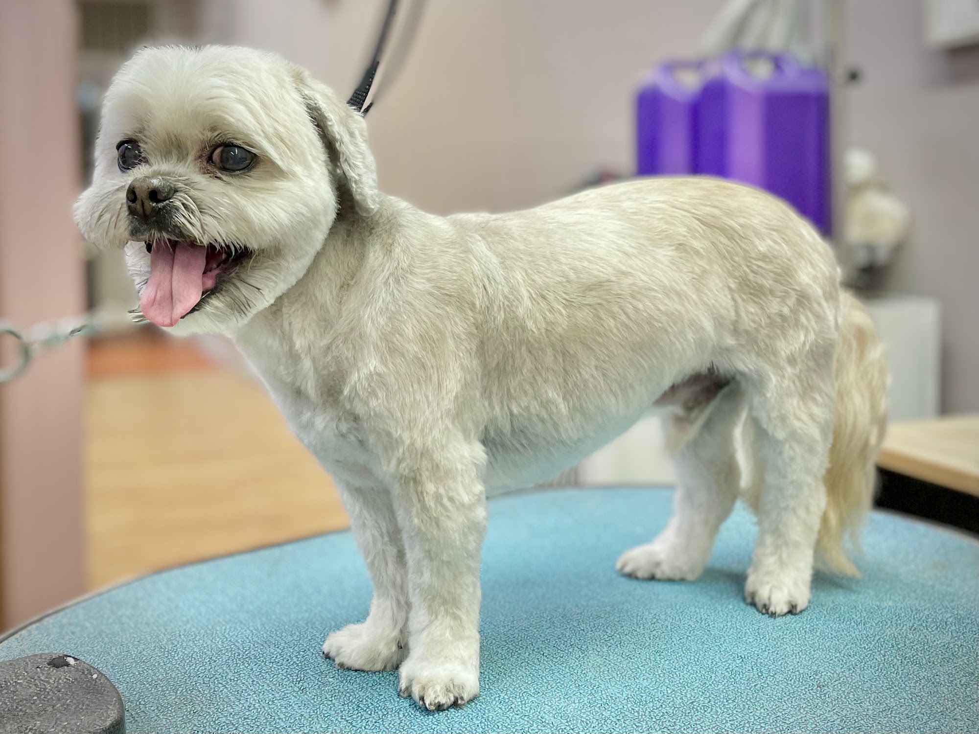 Redefined Grooming LLC Topeka