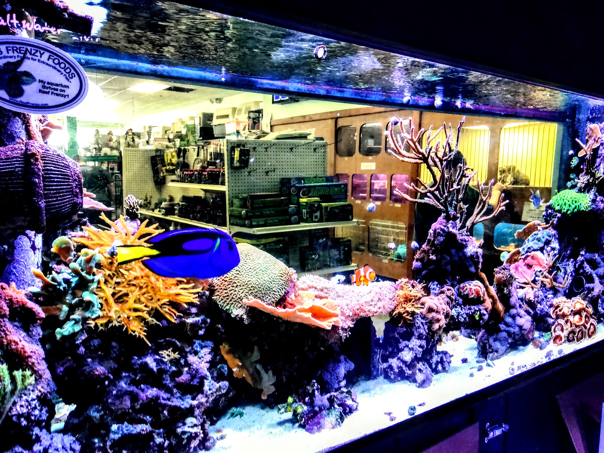 Bert's Pet Center Ashland