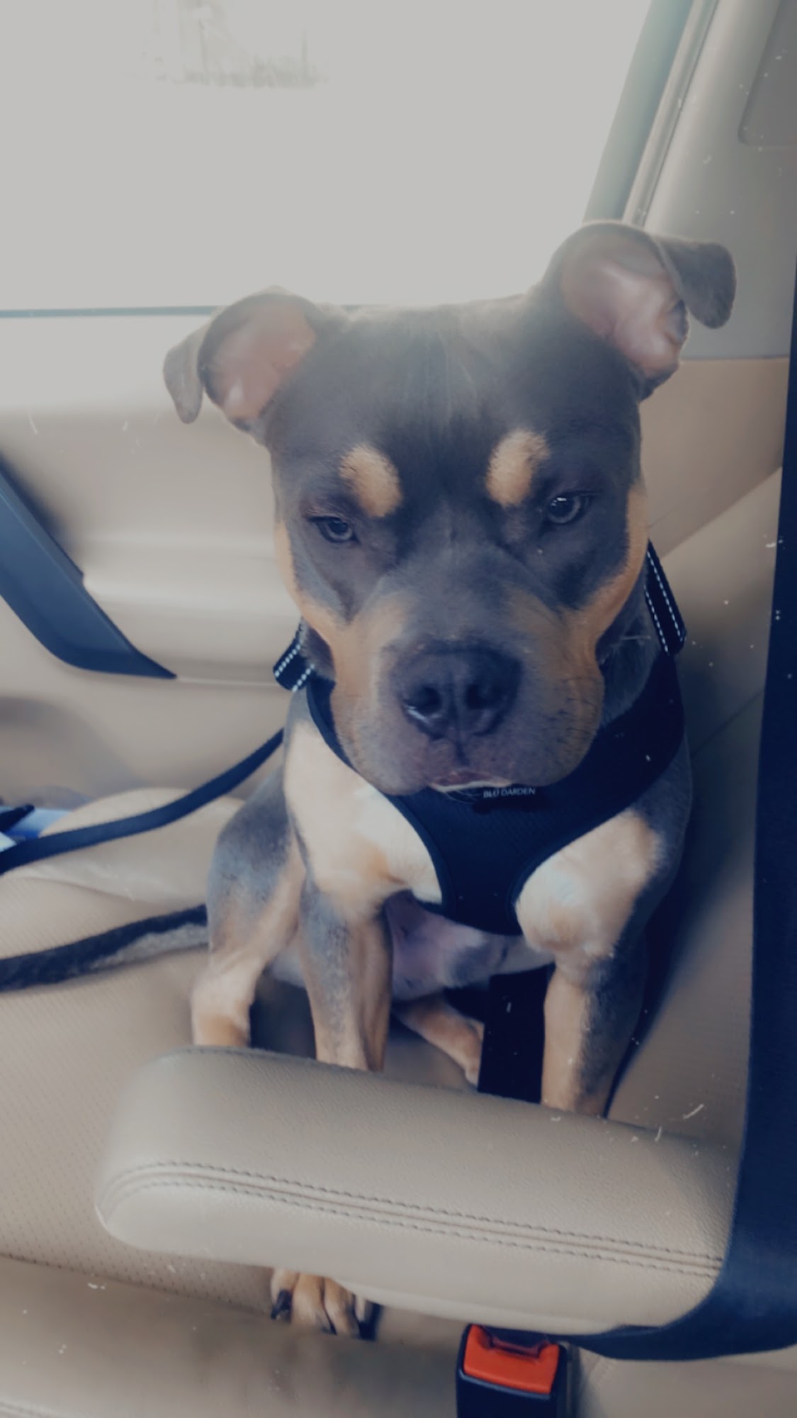 Feeders Pet Supply Fort Mitchell