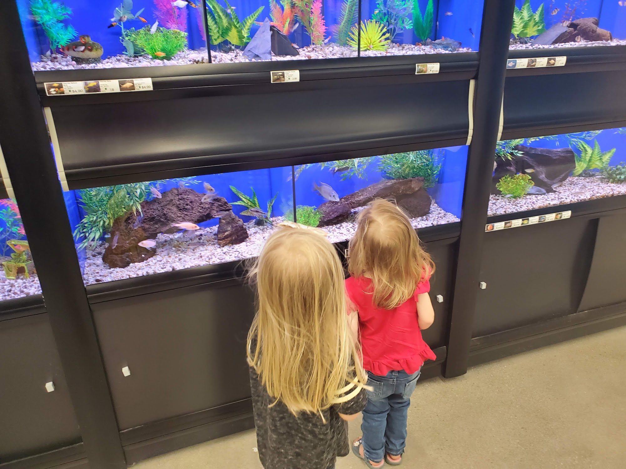 Feeders Pet Supply Louisville