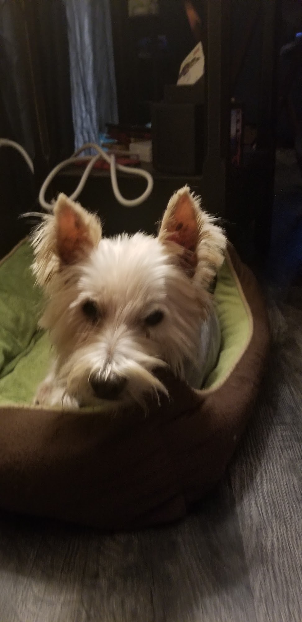 Hoof N Paw Pet Supplies Richmond