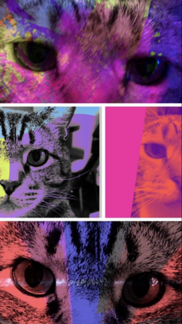 House-Call Veterinary Service Versailles