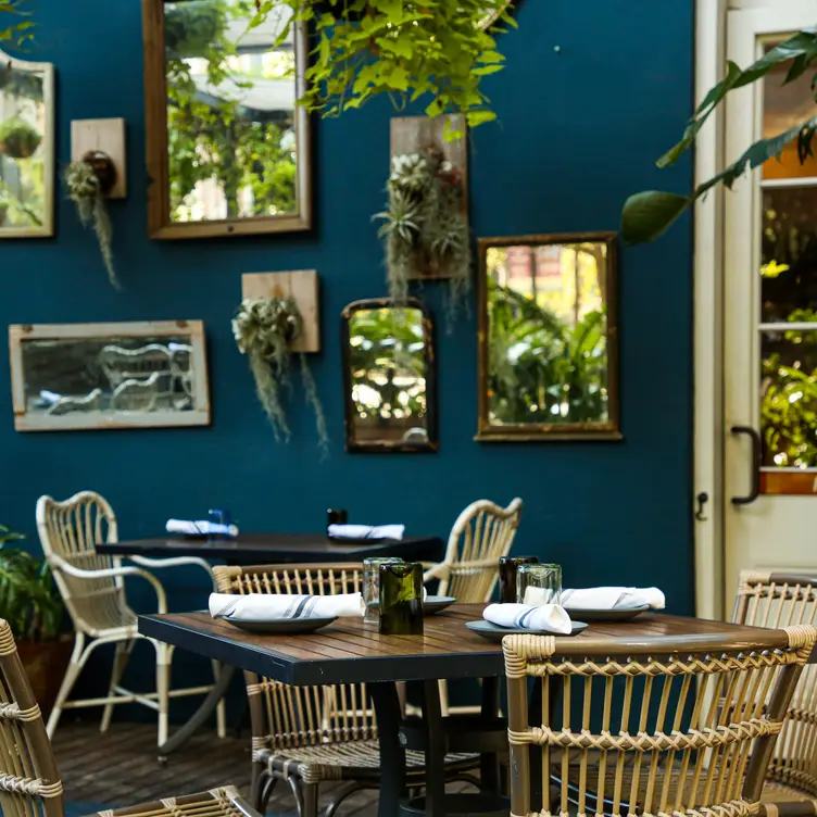 Photo credit: opentable