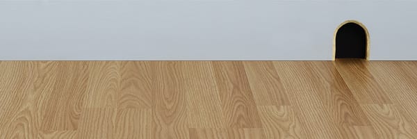 Bugs-Off Exterminating Inc