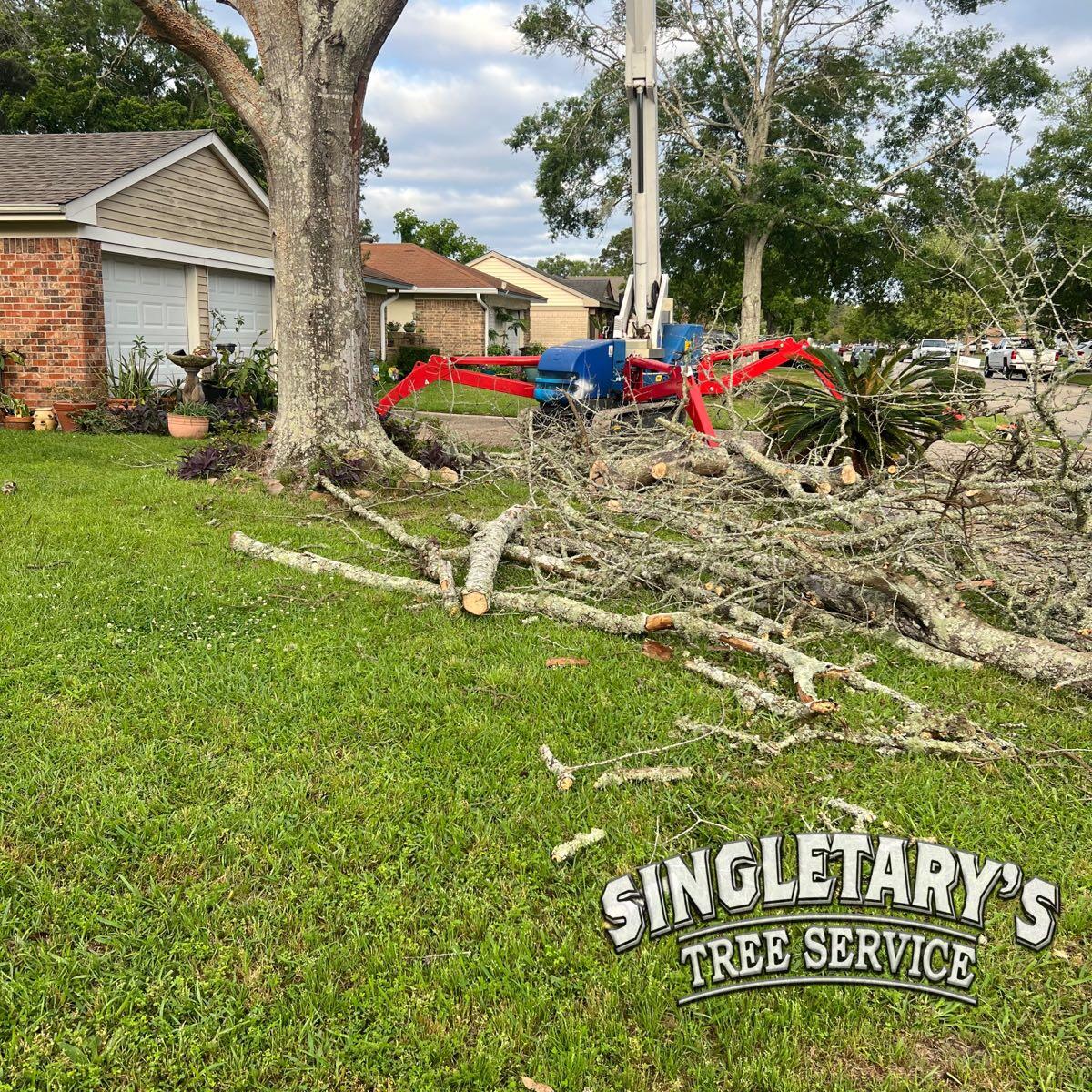Singletary's Tree Service LLC 36095 Doug Crowe Rd, Pearl River Louisiana 70452