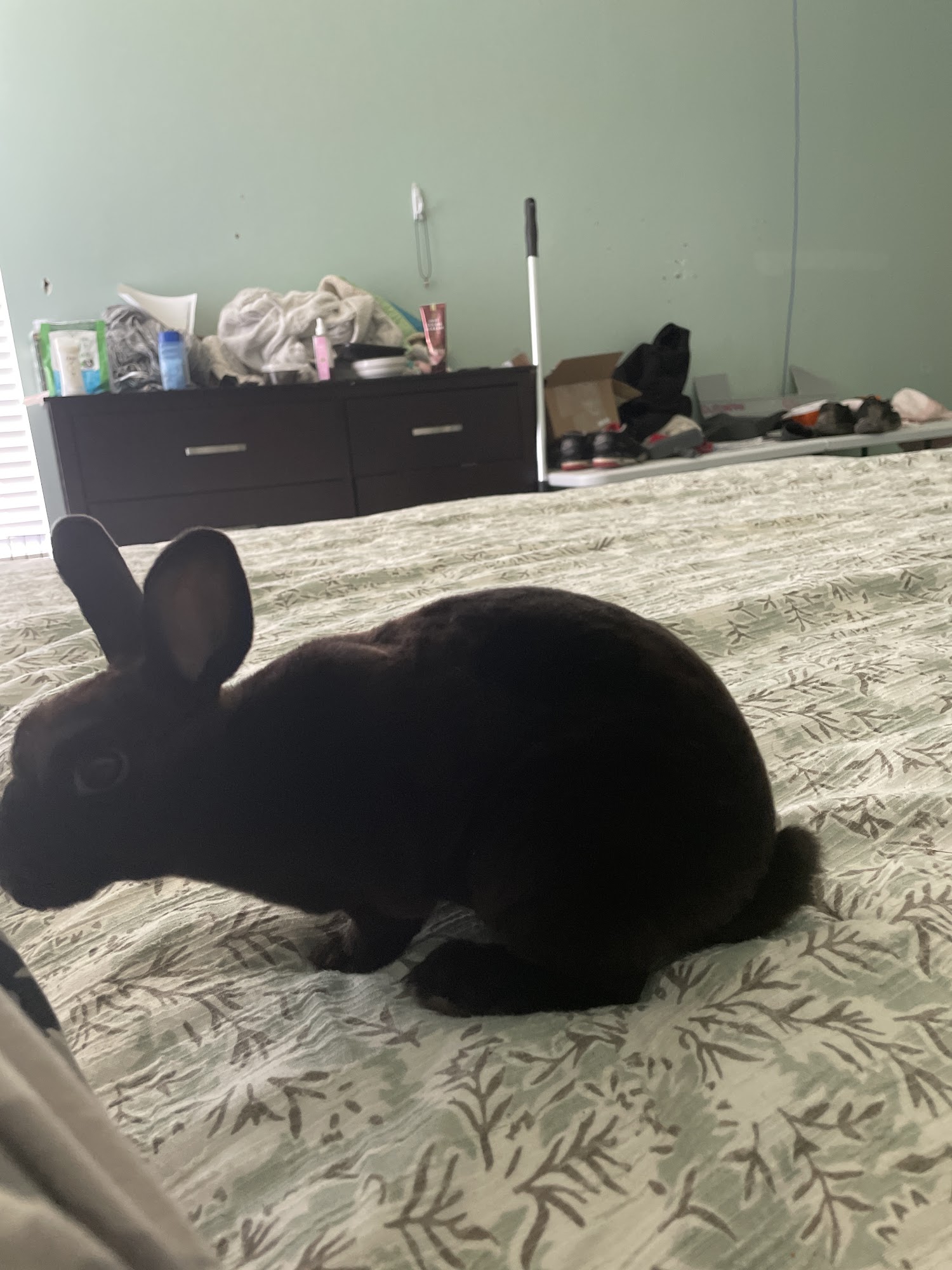 Ponchatoula Feed & Seed Store Ponchatoula