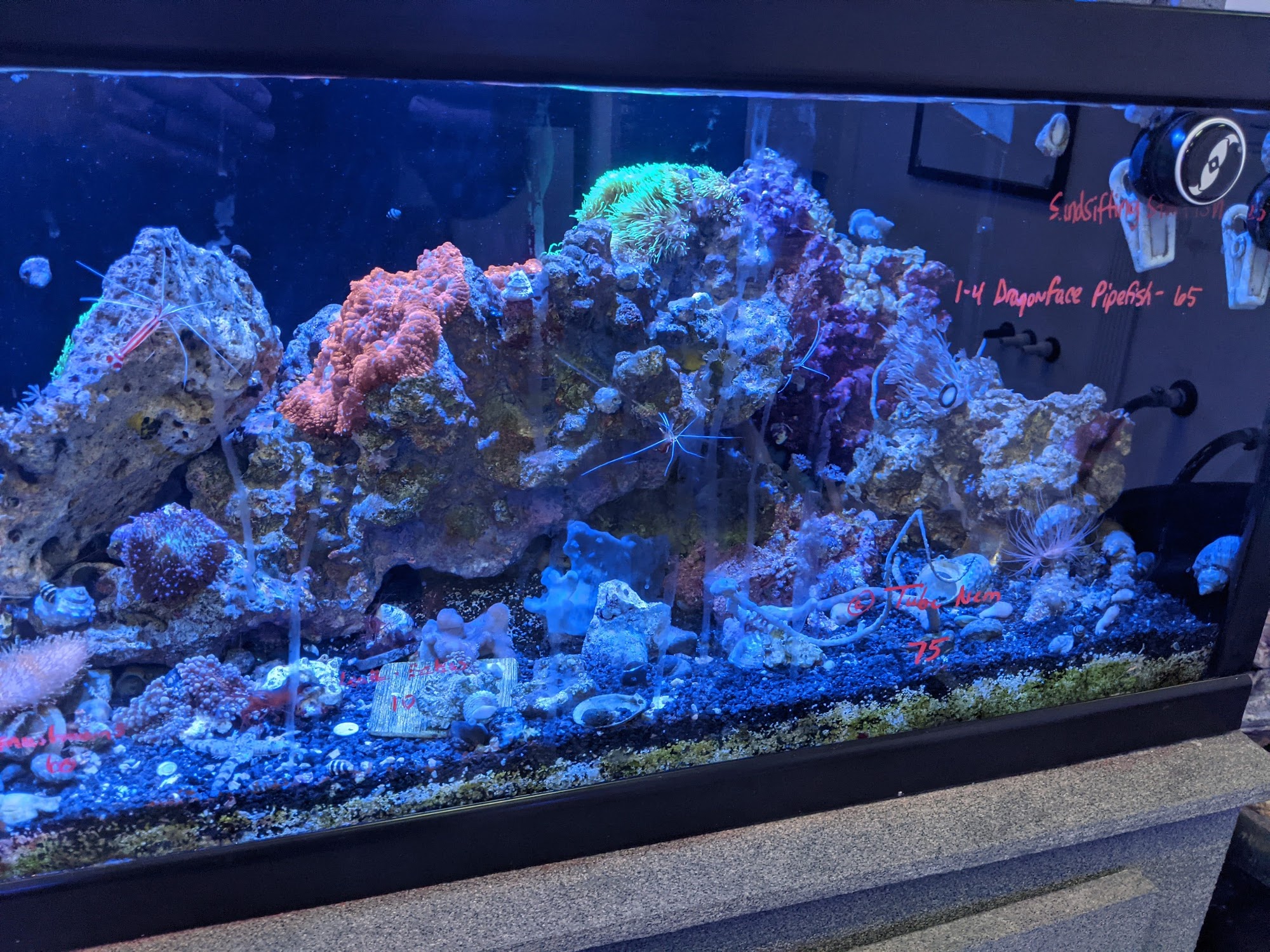 Aqua Hut Prairieville