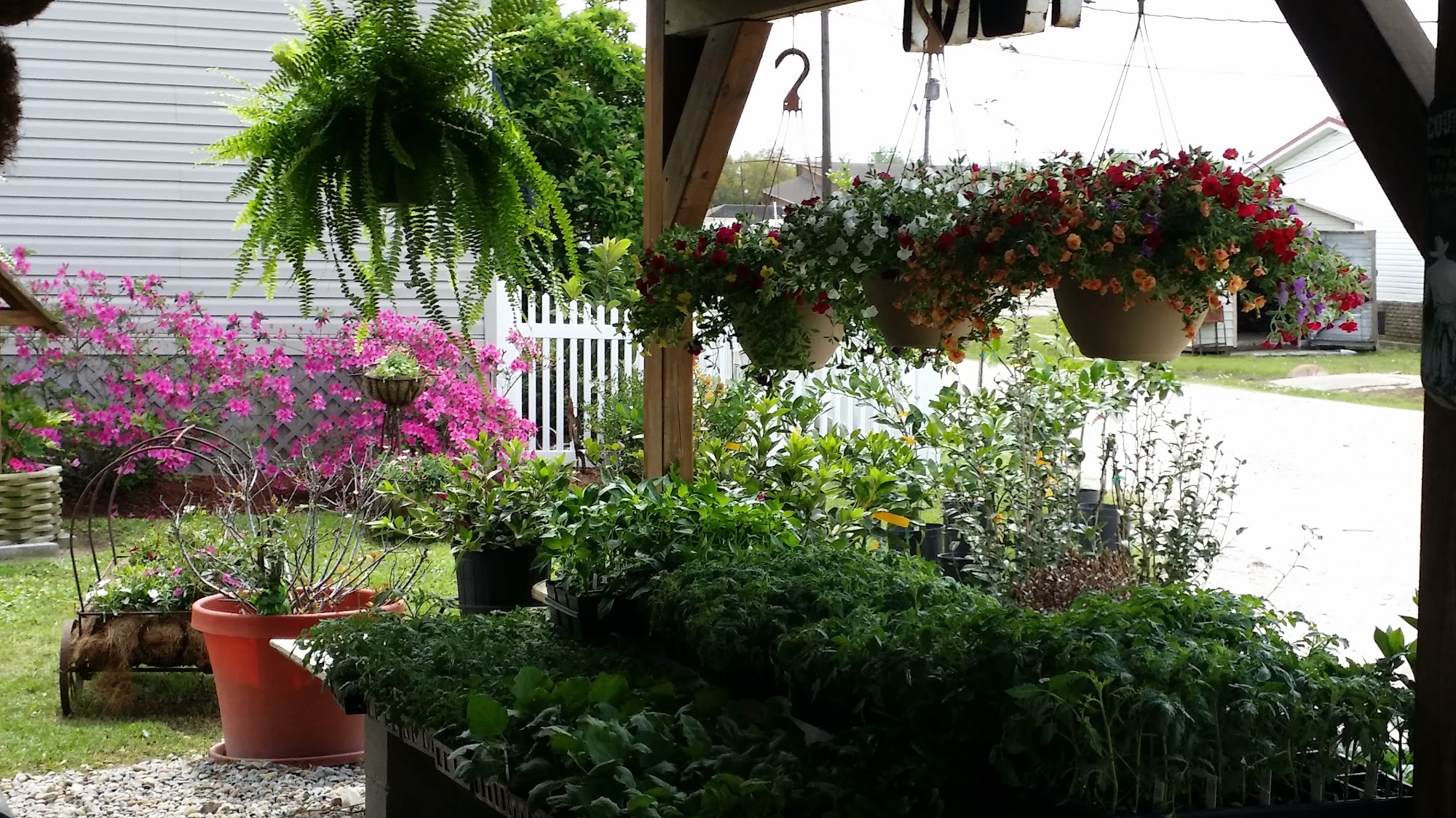 J & B Feed Store Saint Bernard