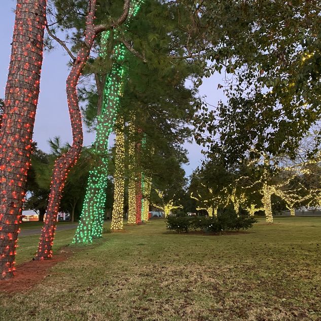 Bonin's Lawn & Lighting | Christmas Decor | Acadiana, Louisiana 110 Heath Dr, Scott Louisiana 70583