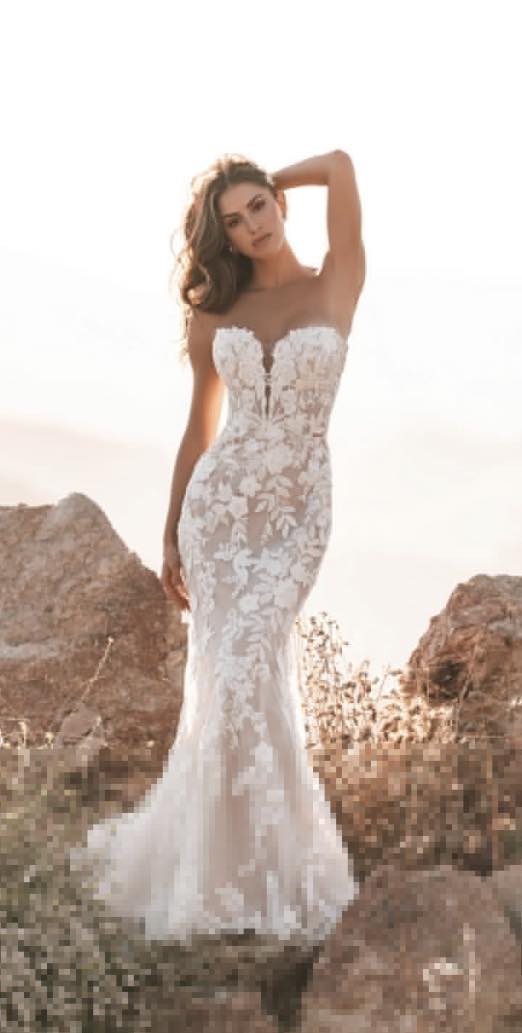 Bridal Dreams