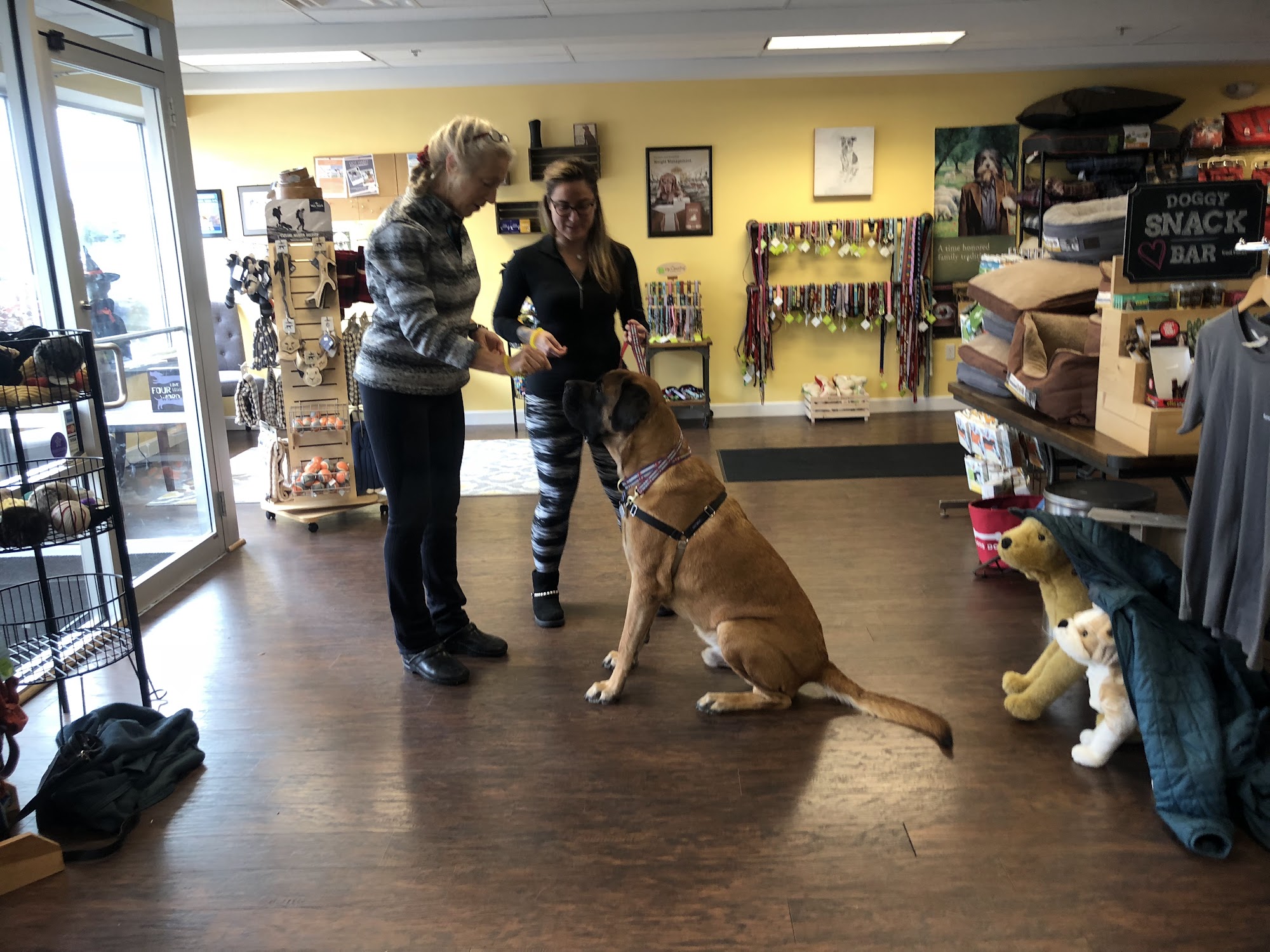 Four Leggers Pet Supplies & Services Beverly